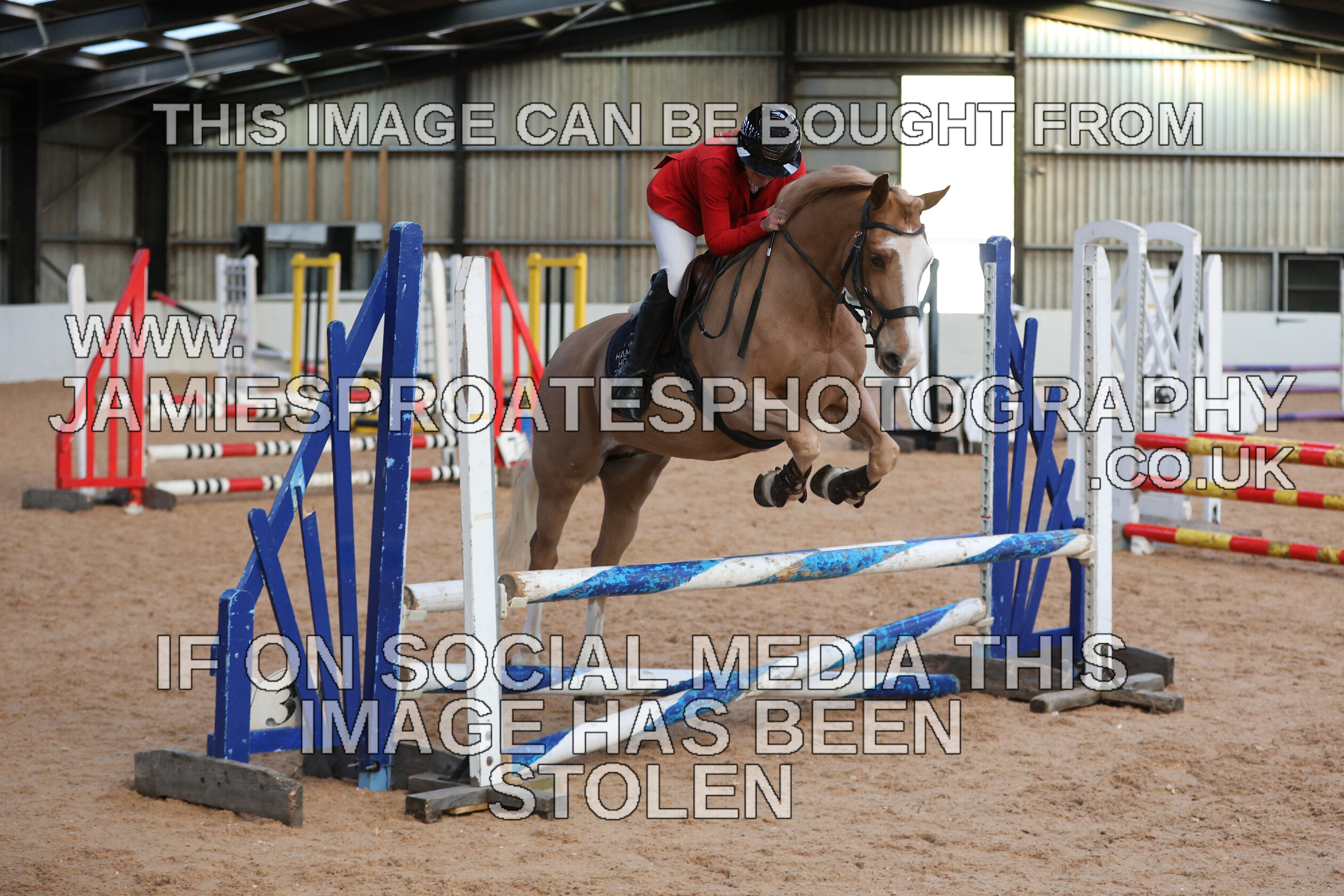 0002 3916 
 Keywords: "jamie sproates photography" showjumping" "holmside"