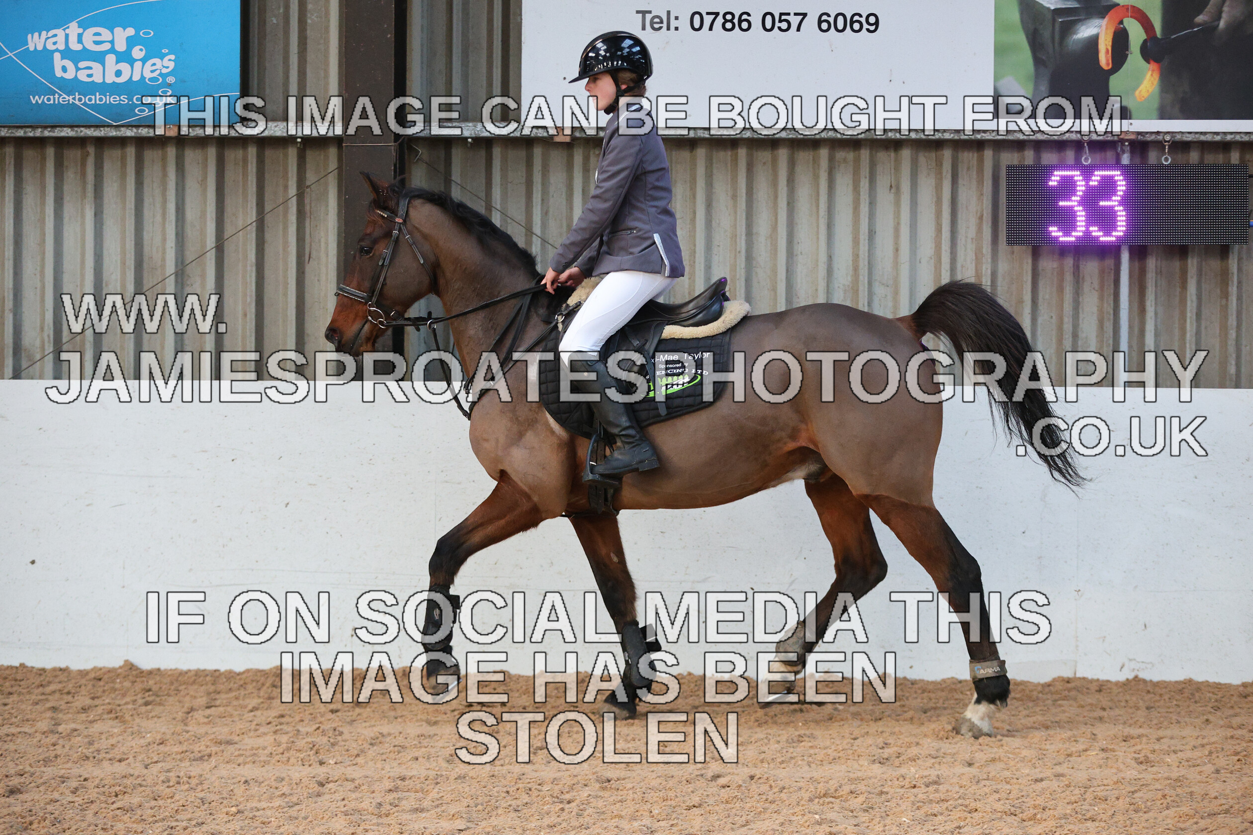 0002 3958 
 Keywords: "jamie sproates photography" showjumping" "holmside"