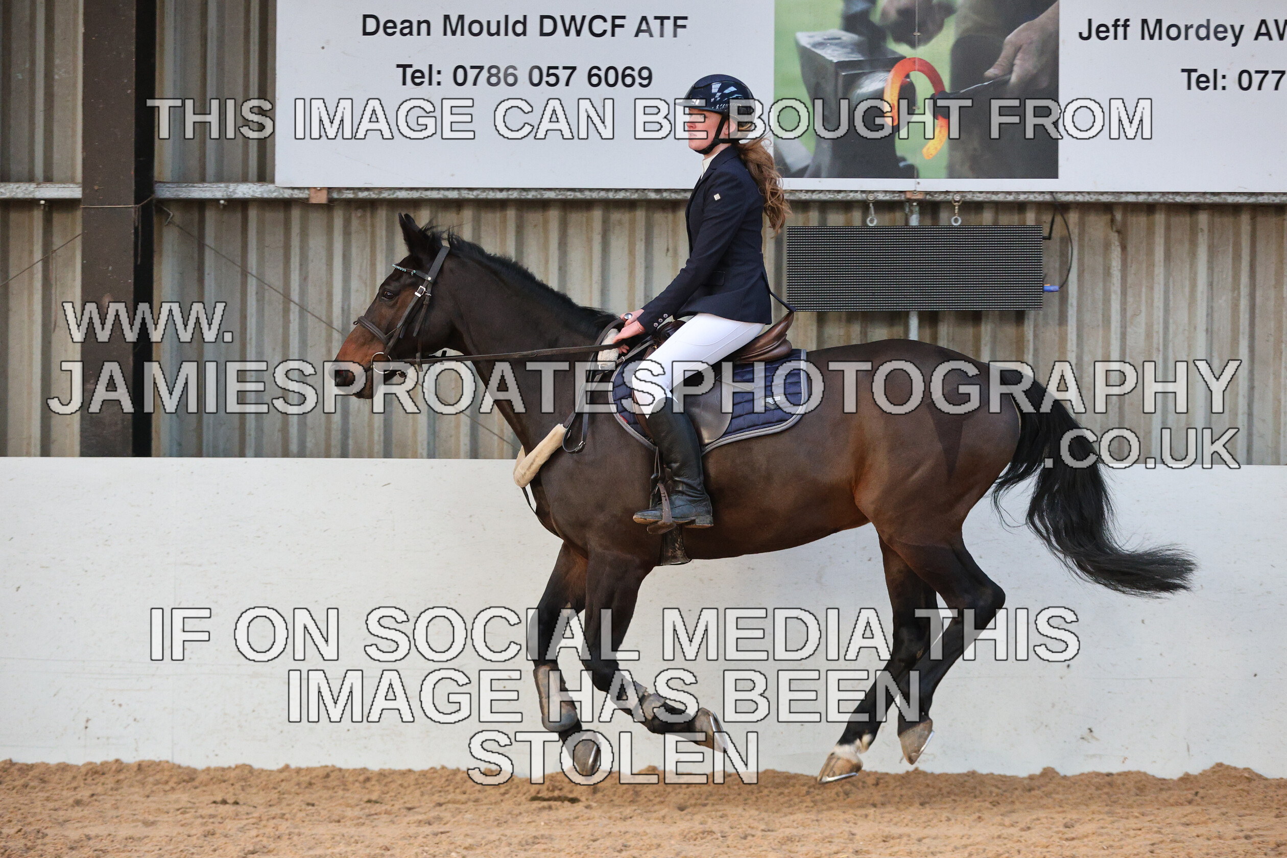 0002 3929 
 Keywords: "jamie sproates photography" showjumping" "holmside"