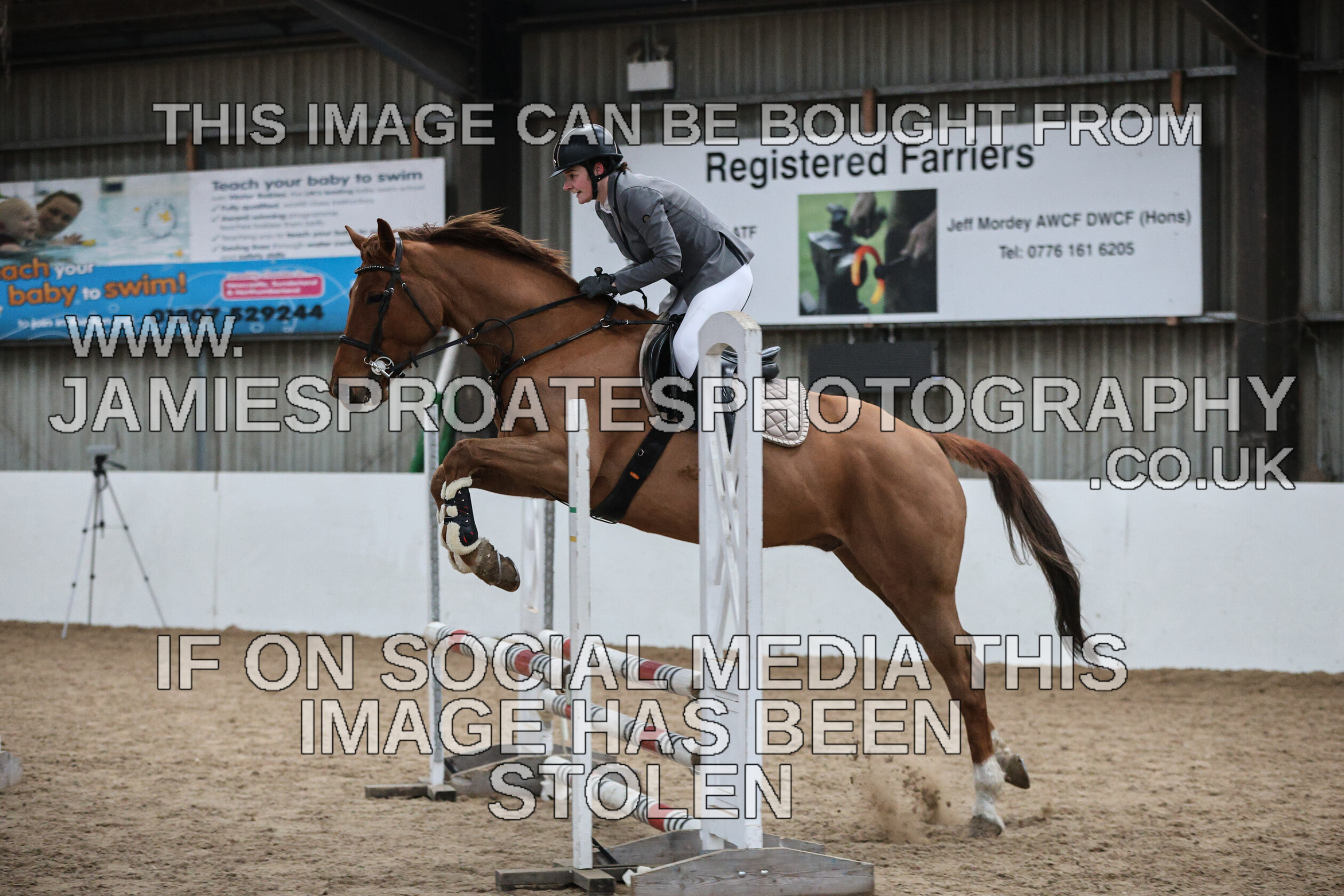 0002 6586 
 Keywords: "jamie sproates photography" showjumping" "holmside""bs"