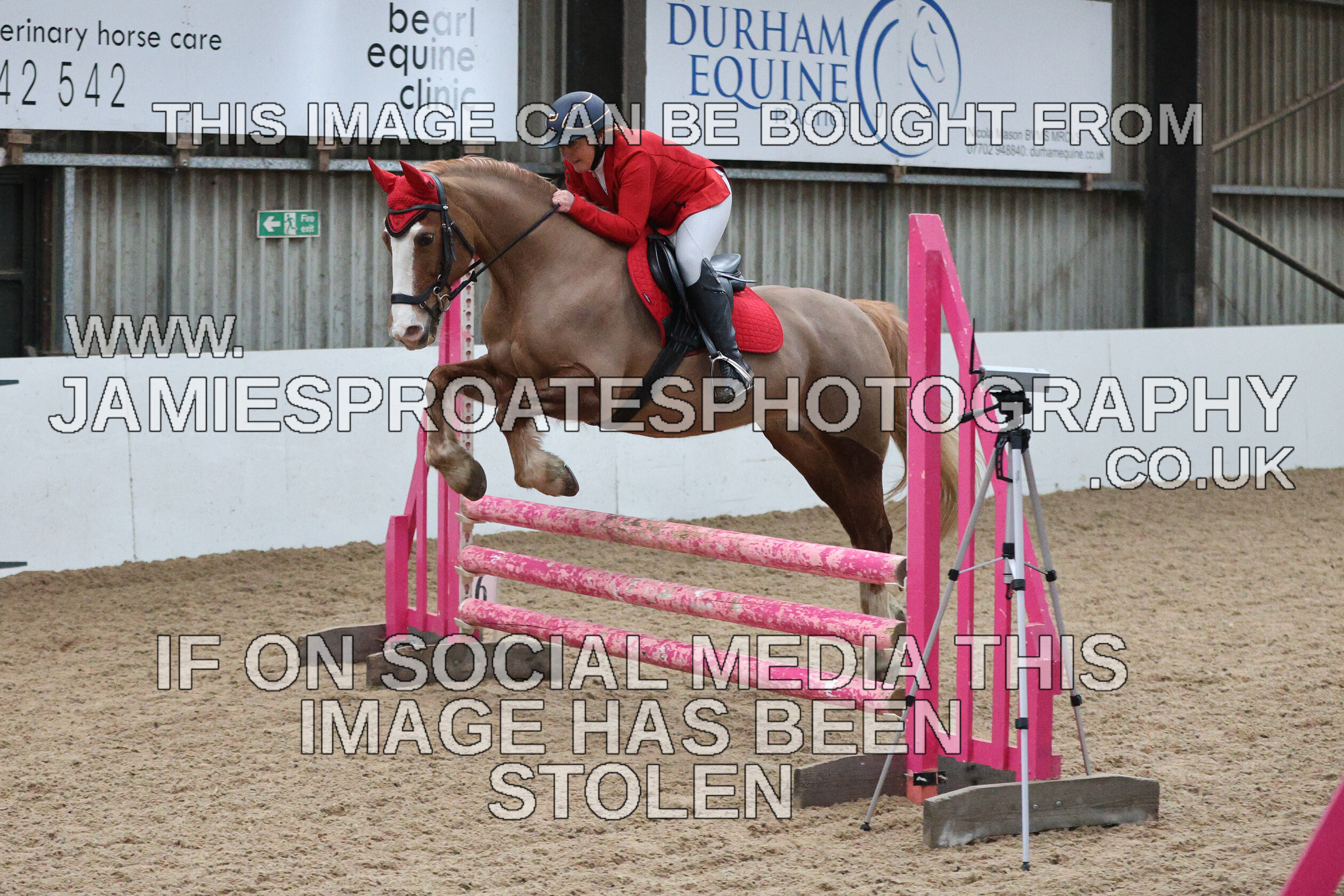 0002 6604 
 Keywords: "jamie sproates photography" showjumping" "holmside""bs"