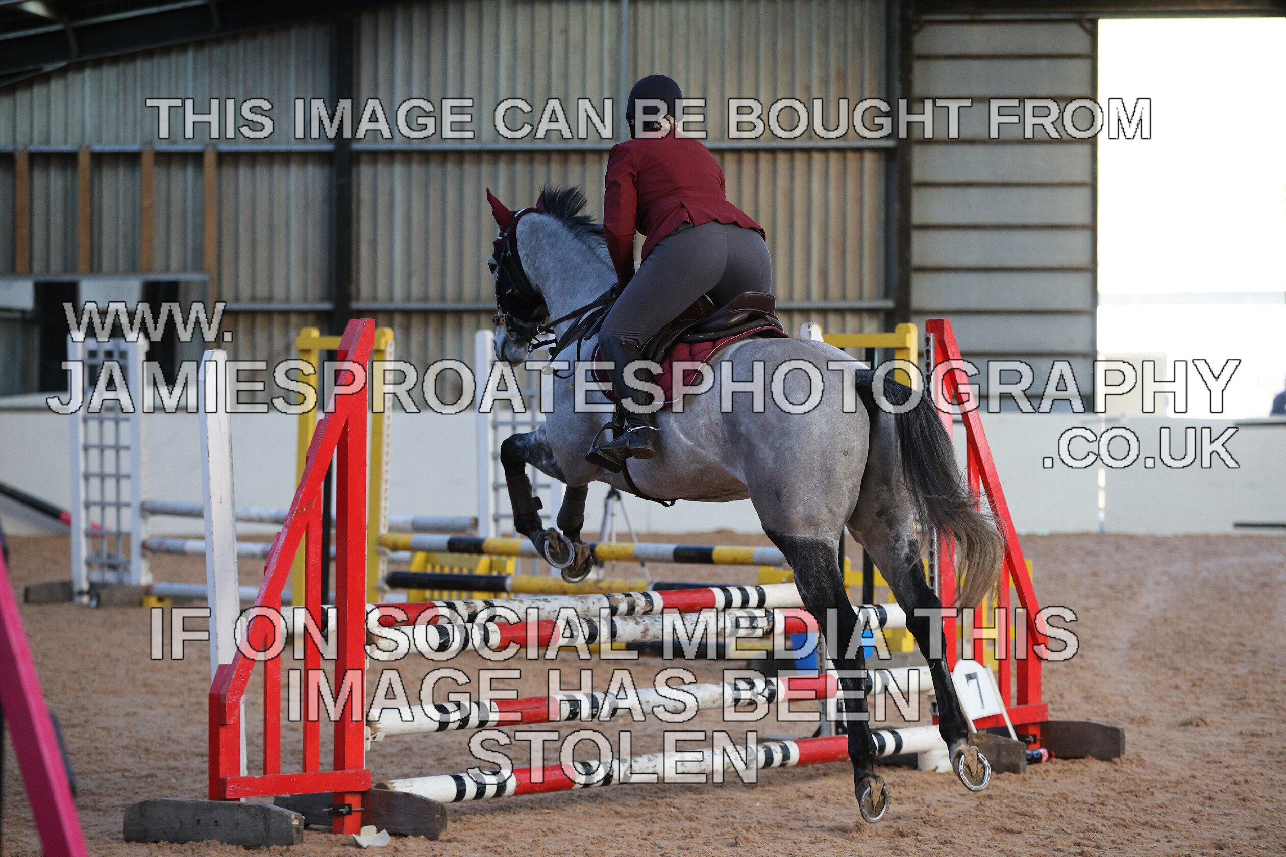 0002 3895 
 Keywords: "jamie sproates photography" showjumping" "holmside"