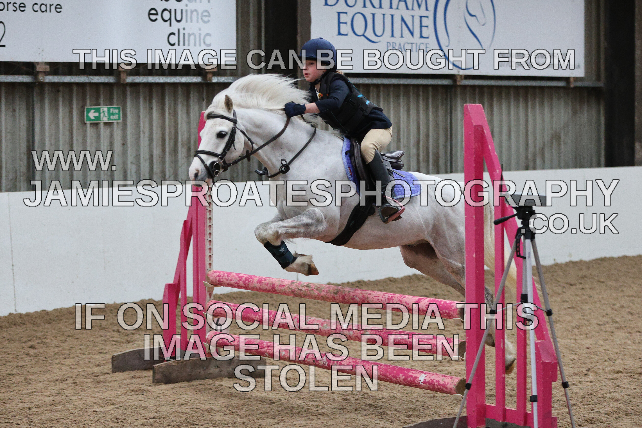 0002 6615 
 Keywords: "jamie sproates photography" showjumping" "holmside""bs"