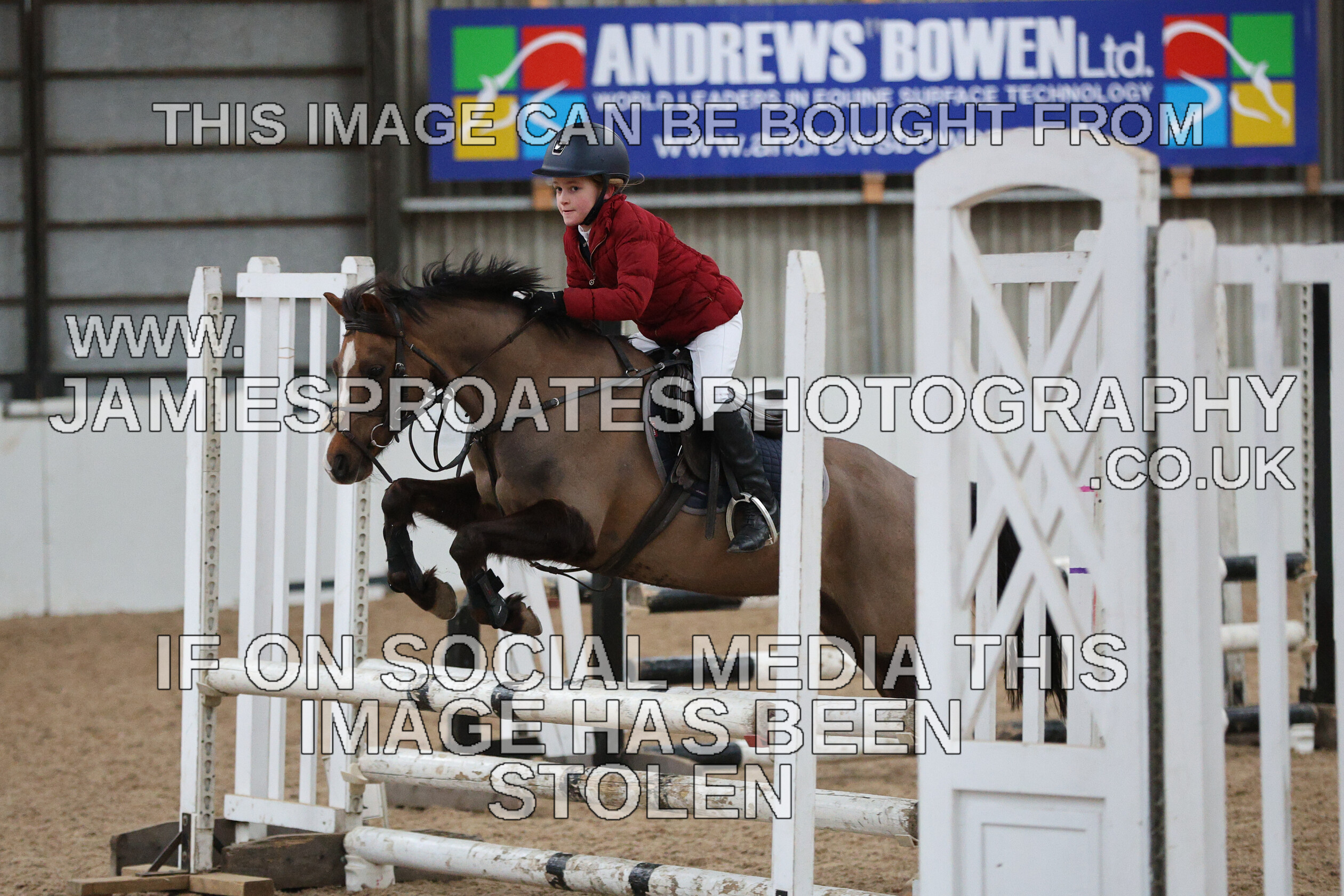 0002 6648 
 Keywords: "jamie sproates photography" showjumping" "holmside""bs"