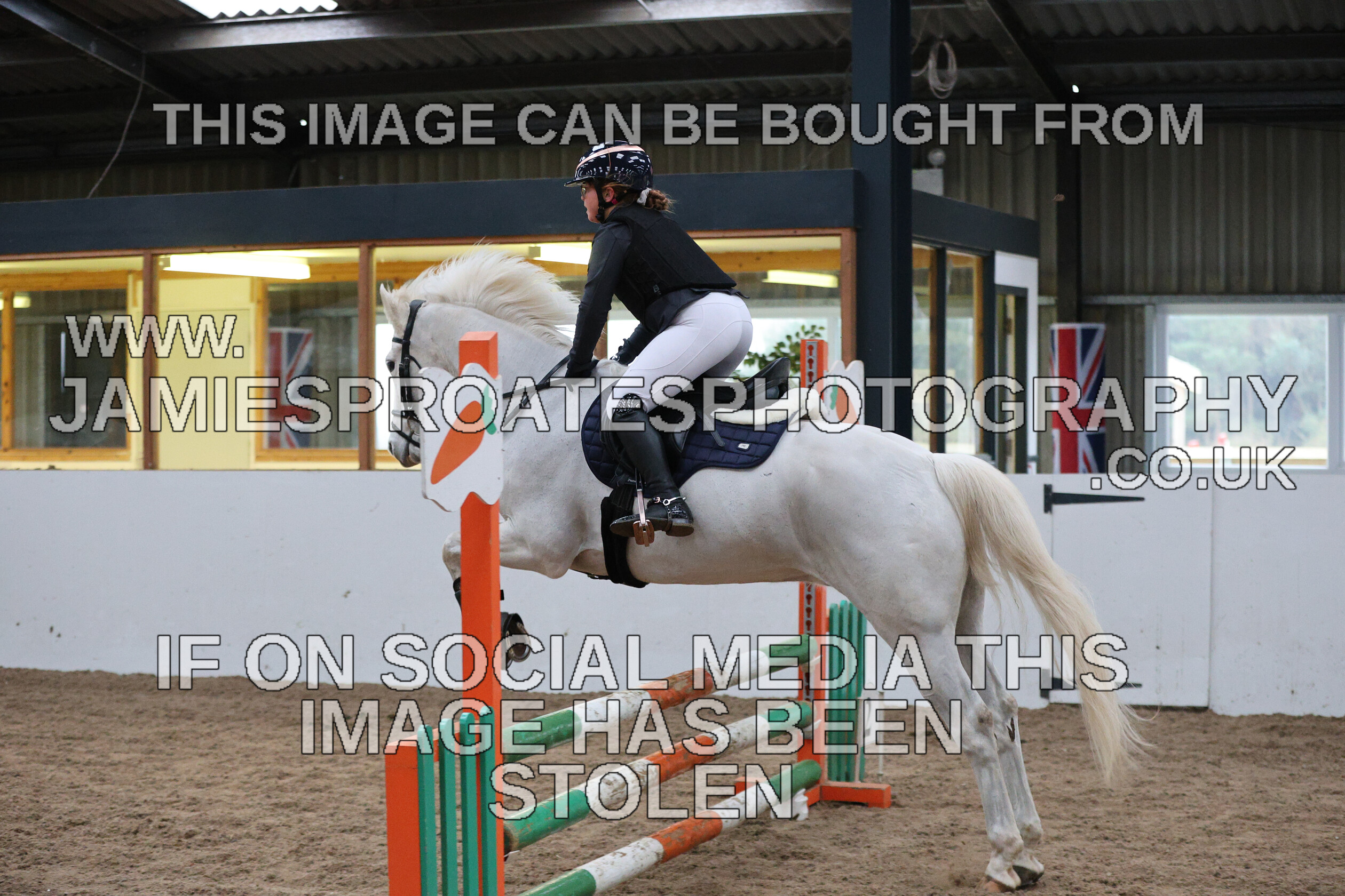 0002 6621 
 Keywords: "jamie sproates photography" showjumping" "holmside""bs"