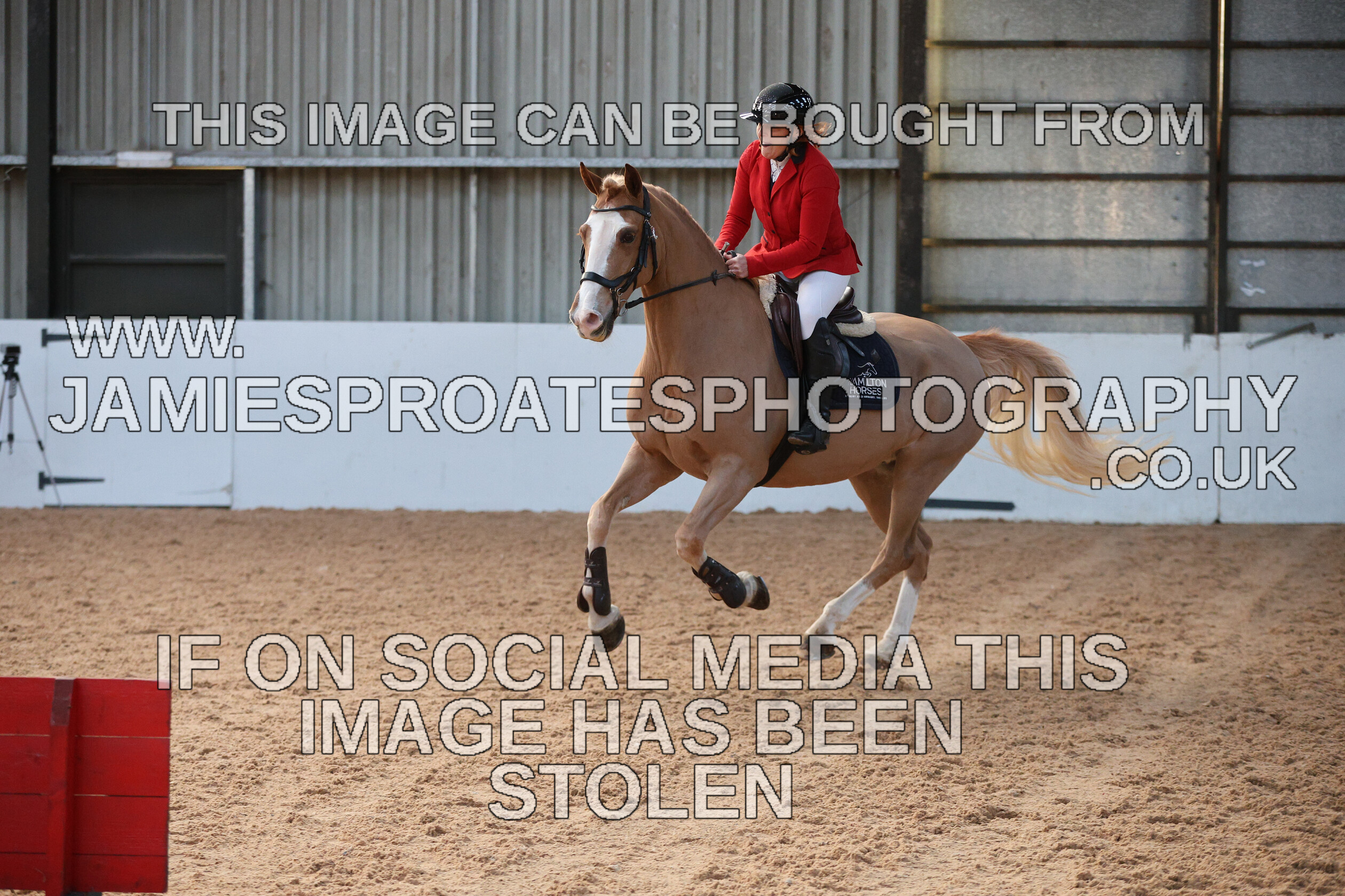 0002 3914 
 Keywords: "jamie sproates photography" showjumping" "holmside"