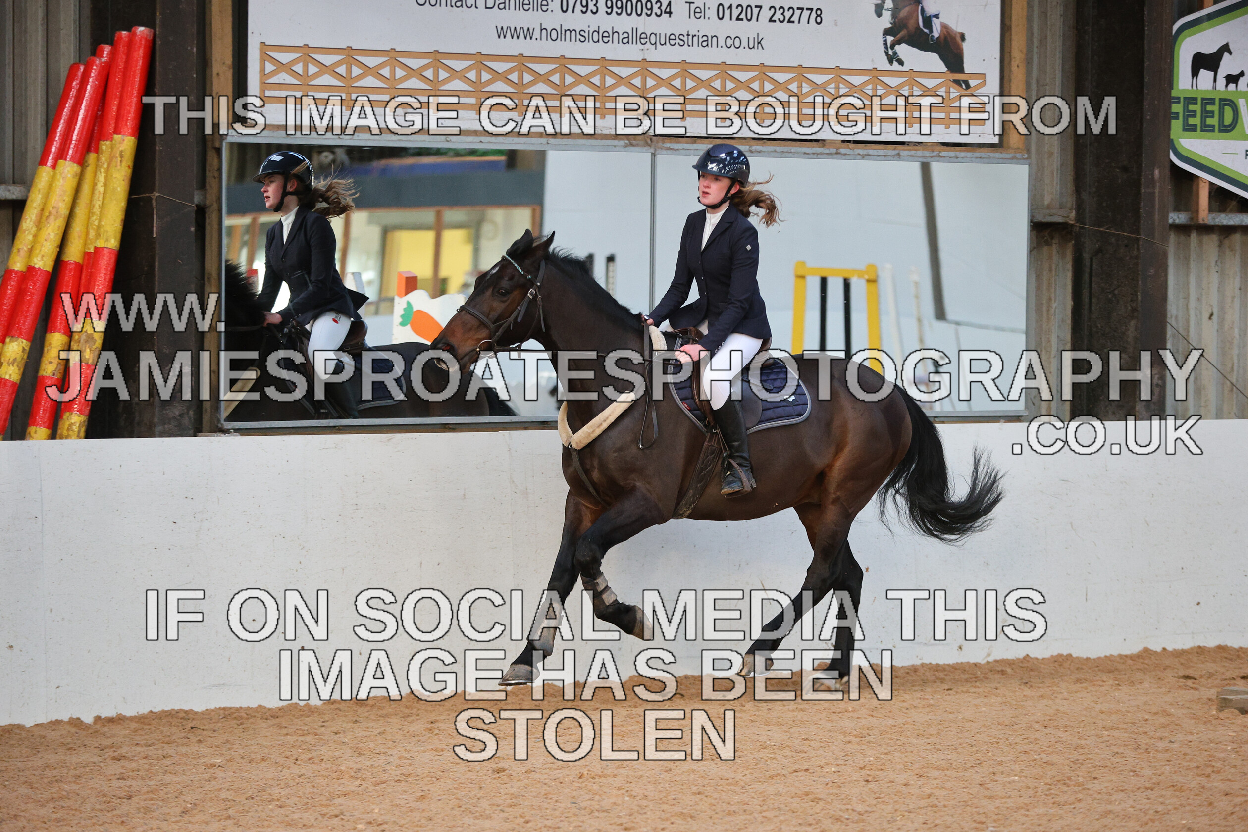 0002 3934 
 Keywords: "jamie sproates photography" showjumping" "holmside"