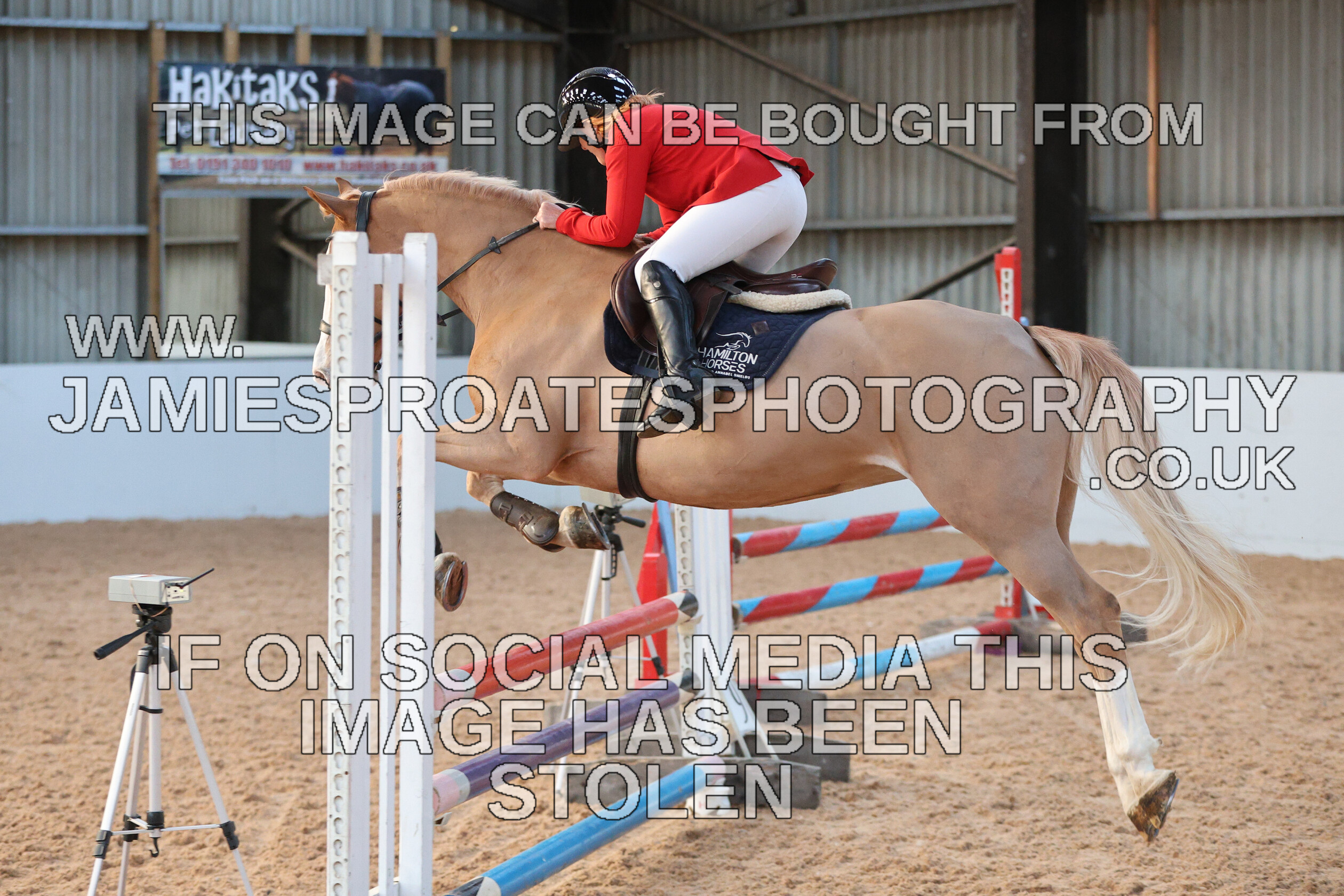 0002 3922 
 Keywords: "jamie sproates photography" showjumping" "holmside"