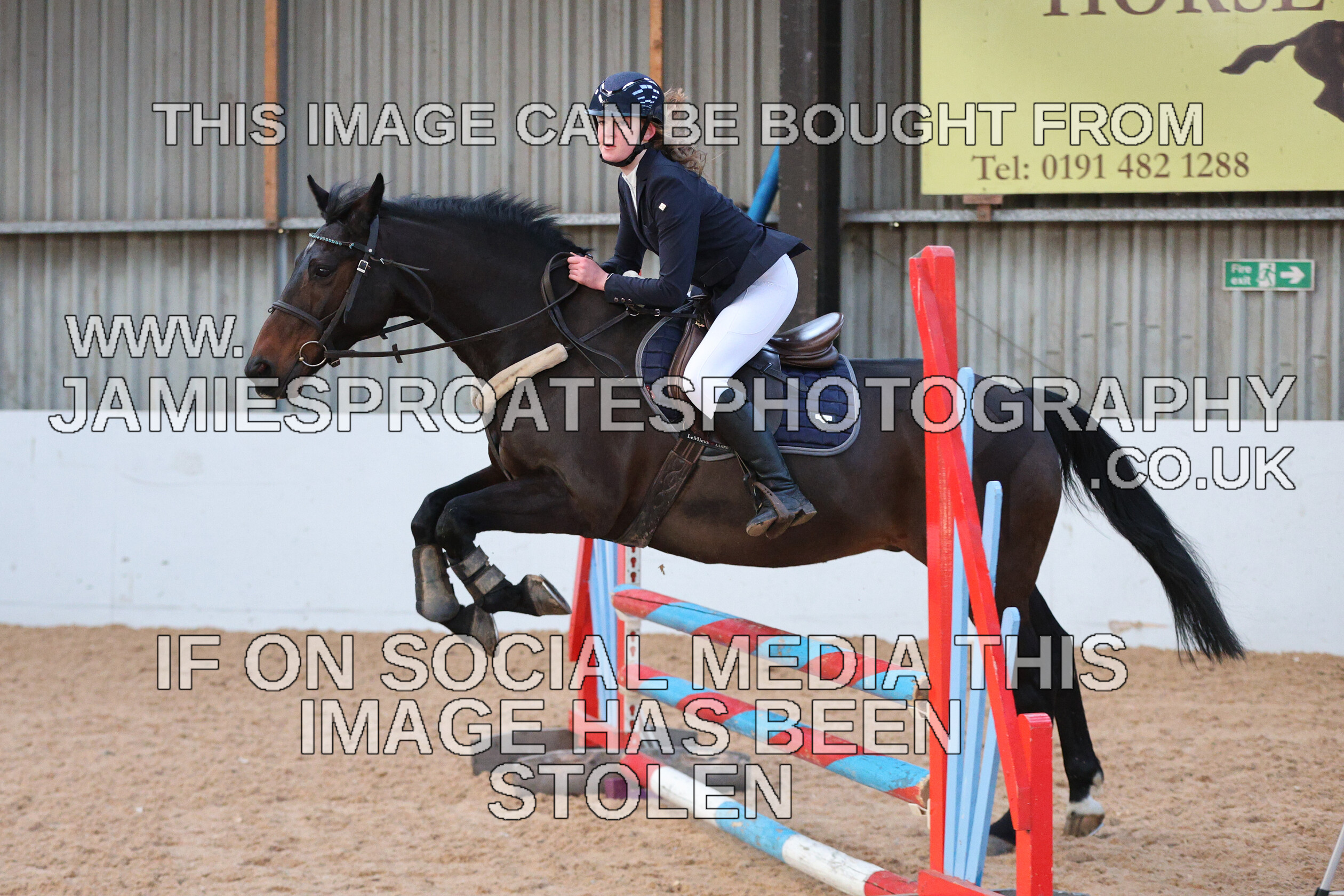 0002 3936 
 Keywords: "jamie sproates photography" showjumping" "holmside"