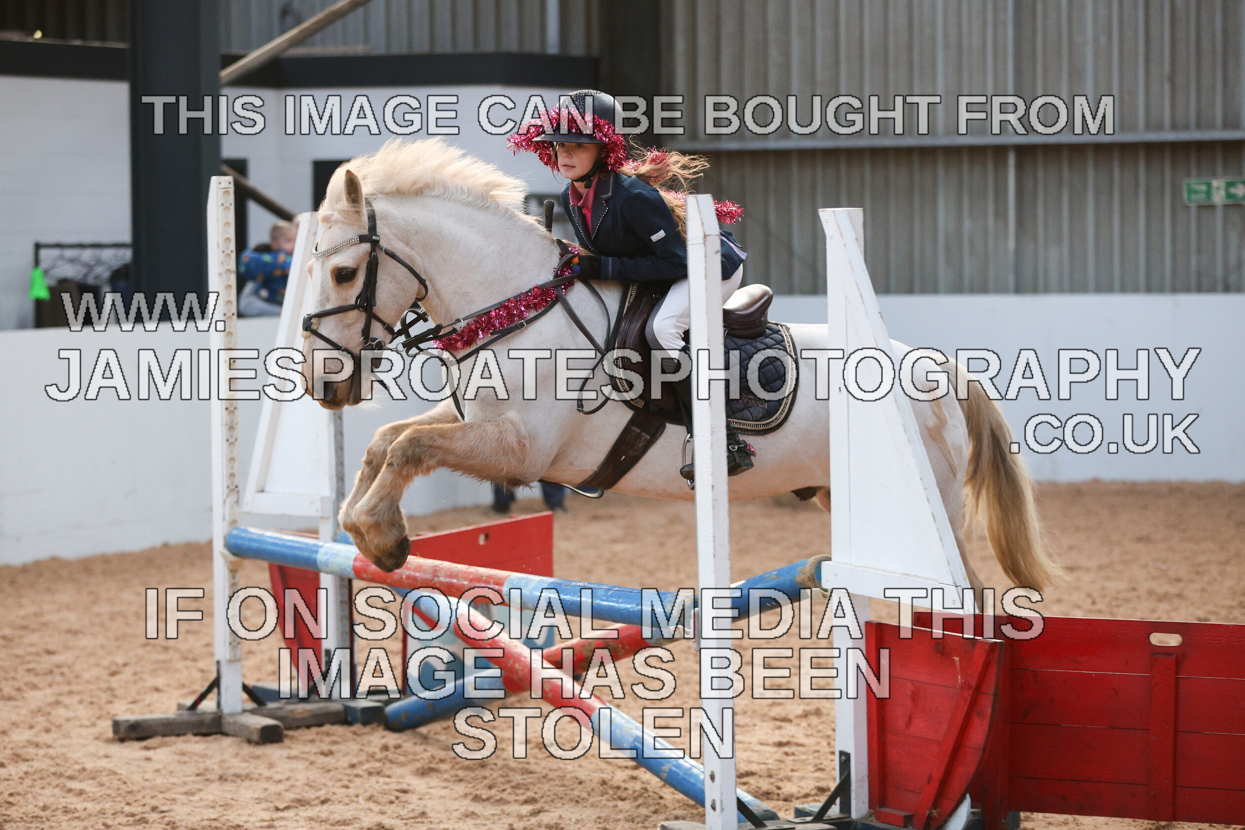 0002 3945 
 Keywords: "jamie sproates photography" showjumping" "holmside"