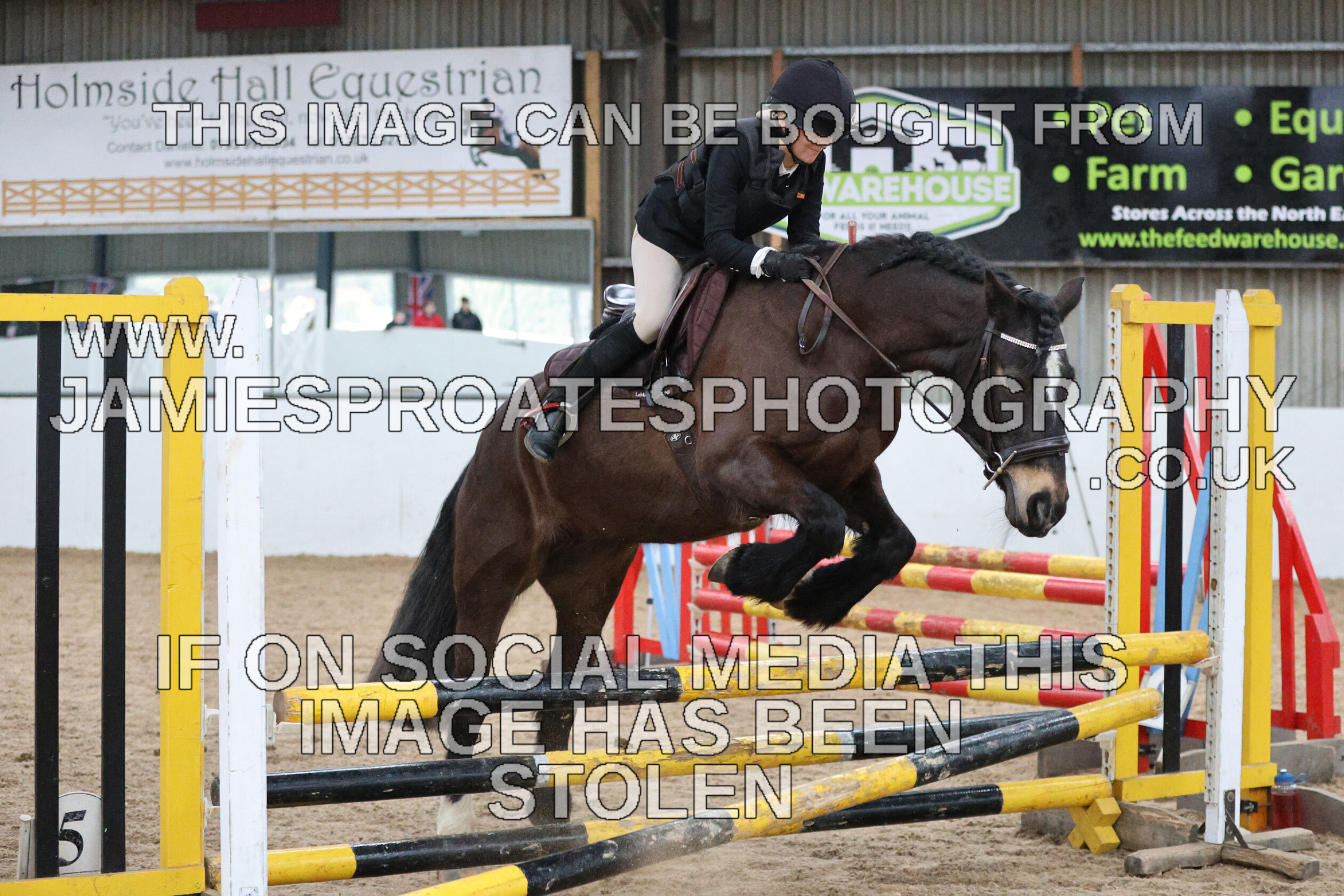 0002 6663 
 Keywords: "jamie sproates photography" showjumping" "holmside""bs"