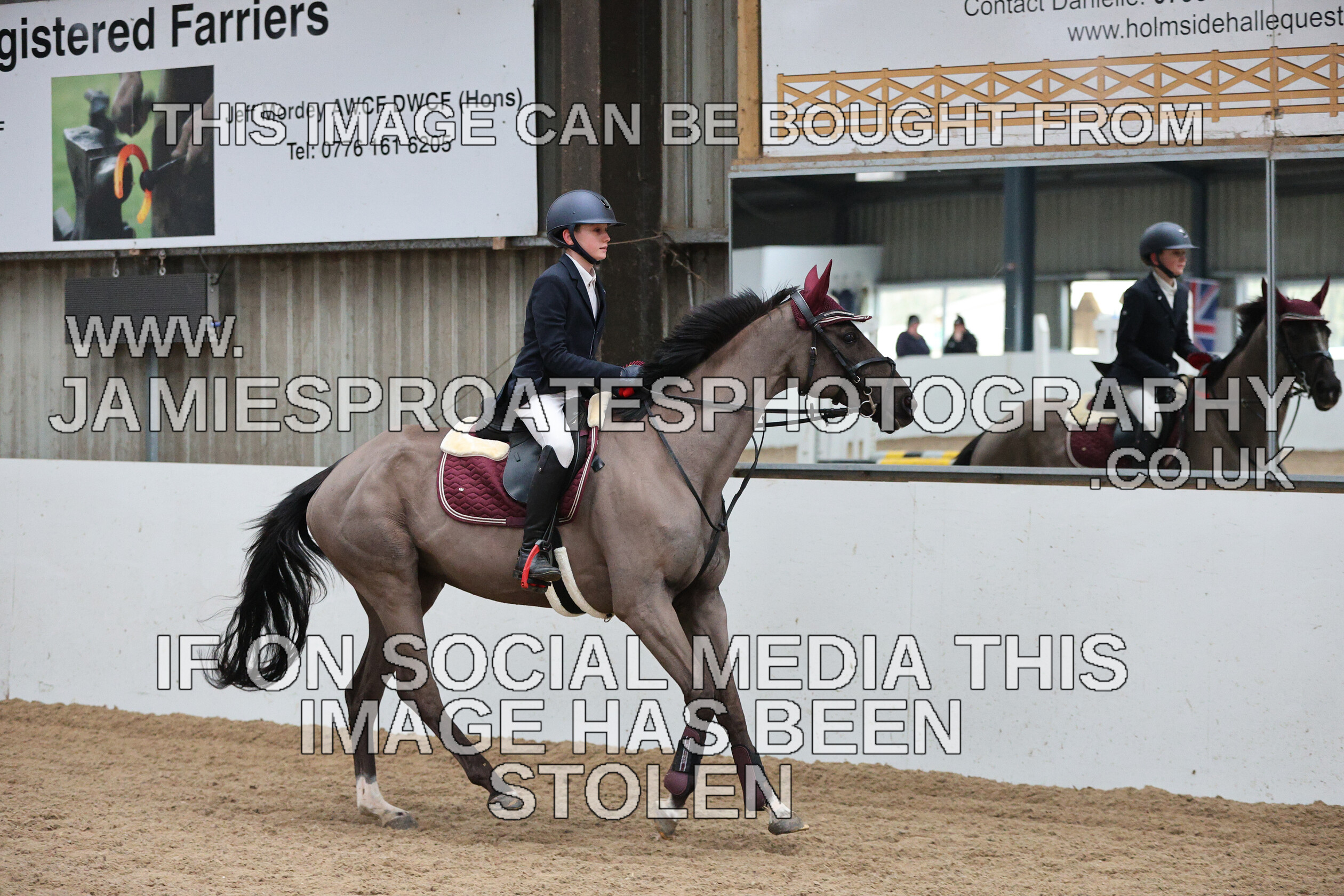 0002 6675 
 Keywords: "jamie sproates photography" showjumping" "holmside""bs"