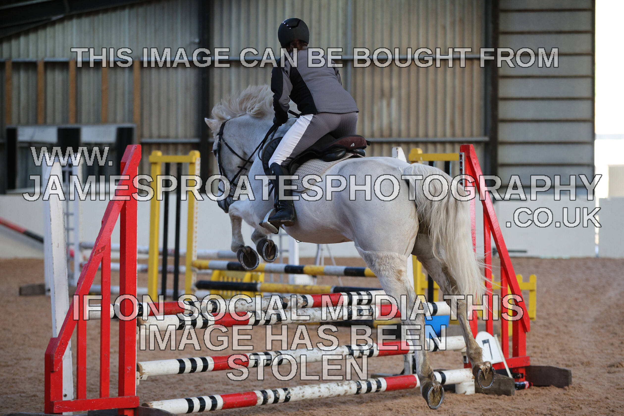 0002 3904 
 Keywords: "jamie sproates photography" showjumping" "holmside"