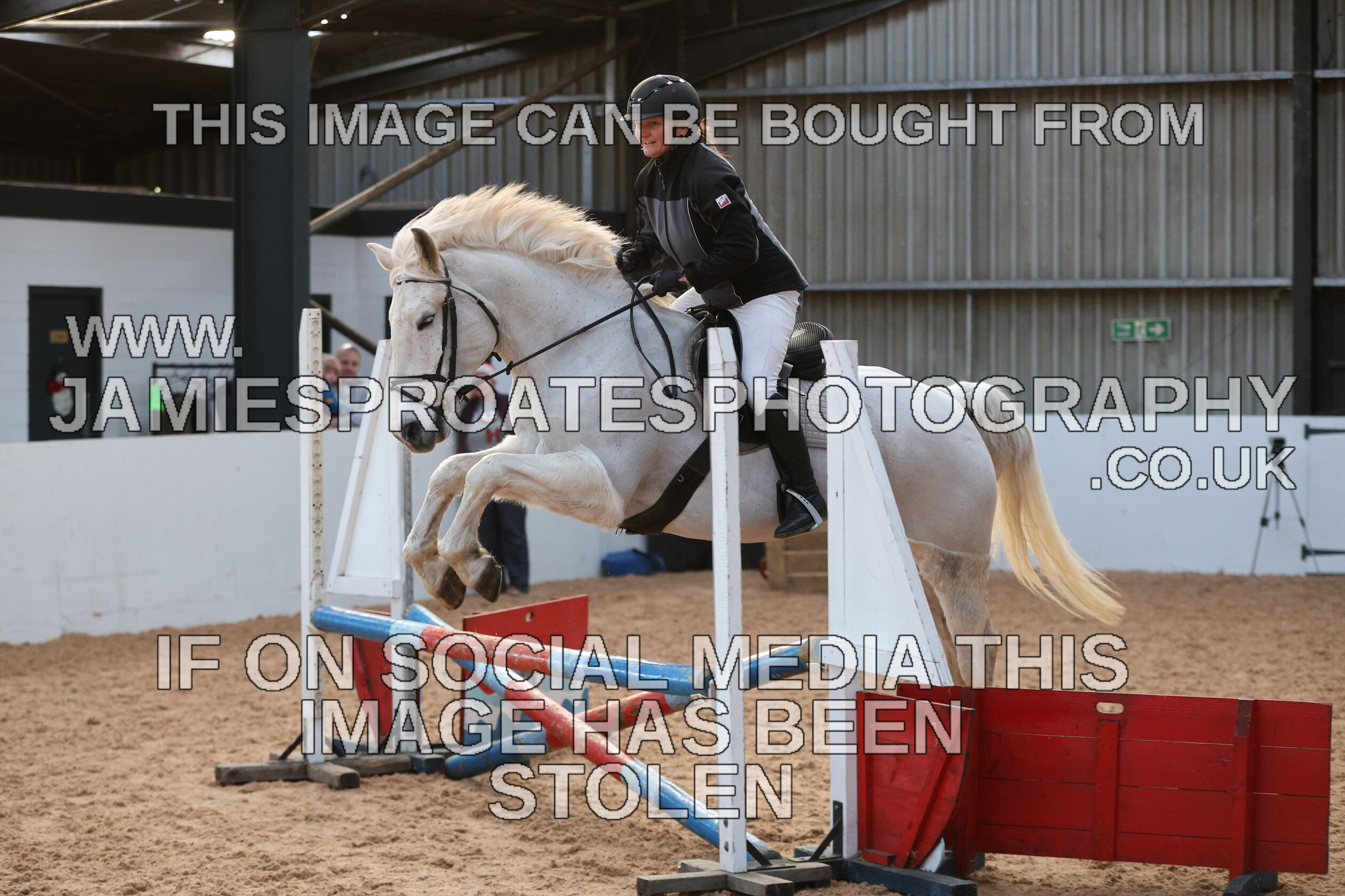 0002 3900 
 Keywords: "jamie sproates photography" showjumping" "holmside"