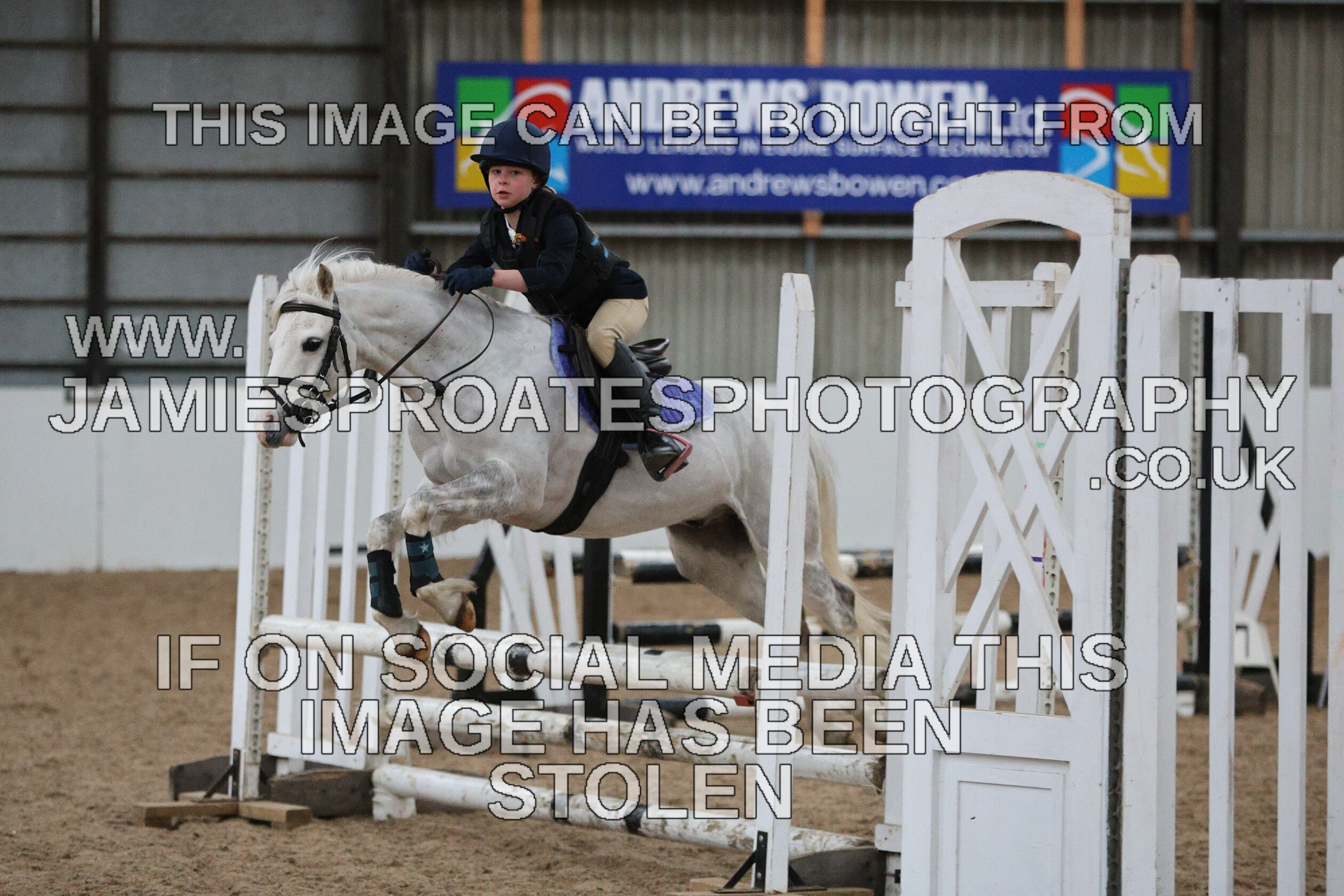 0002 6609 
 Keywords: "jamie sproates photography" showjumping" "holmside""bs"