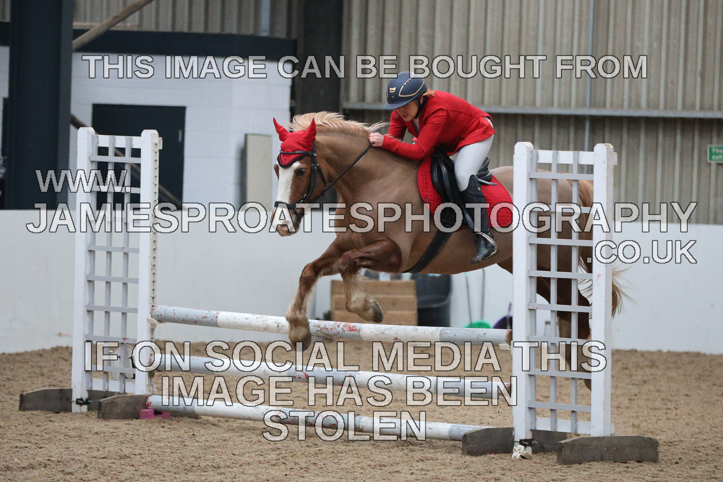 0002 6607 
 Keywords: "jamie sproates photography" showjumping" "holmside""bs"