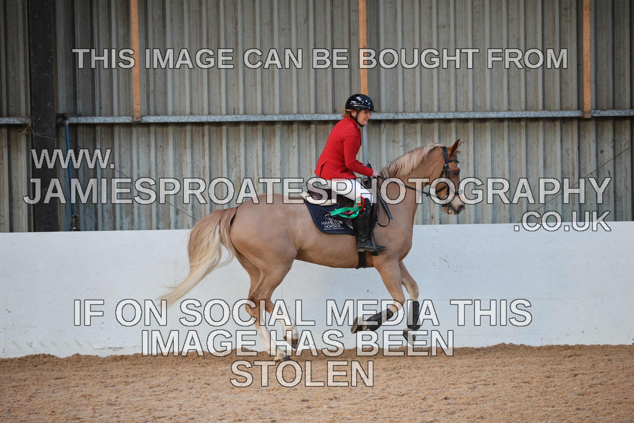 0002 3989 
 Keywords: "jamie sproates photography" showjumping" "holmside"