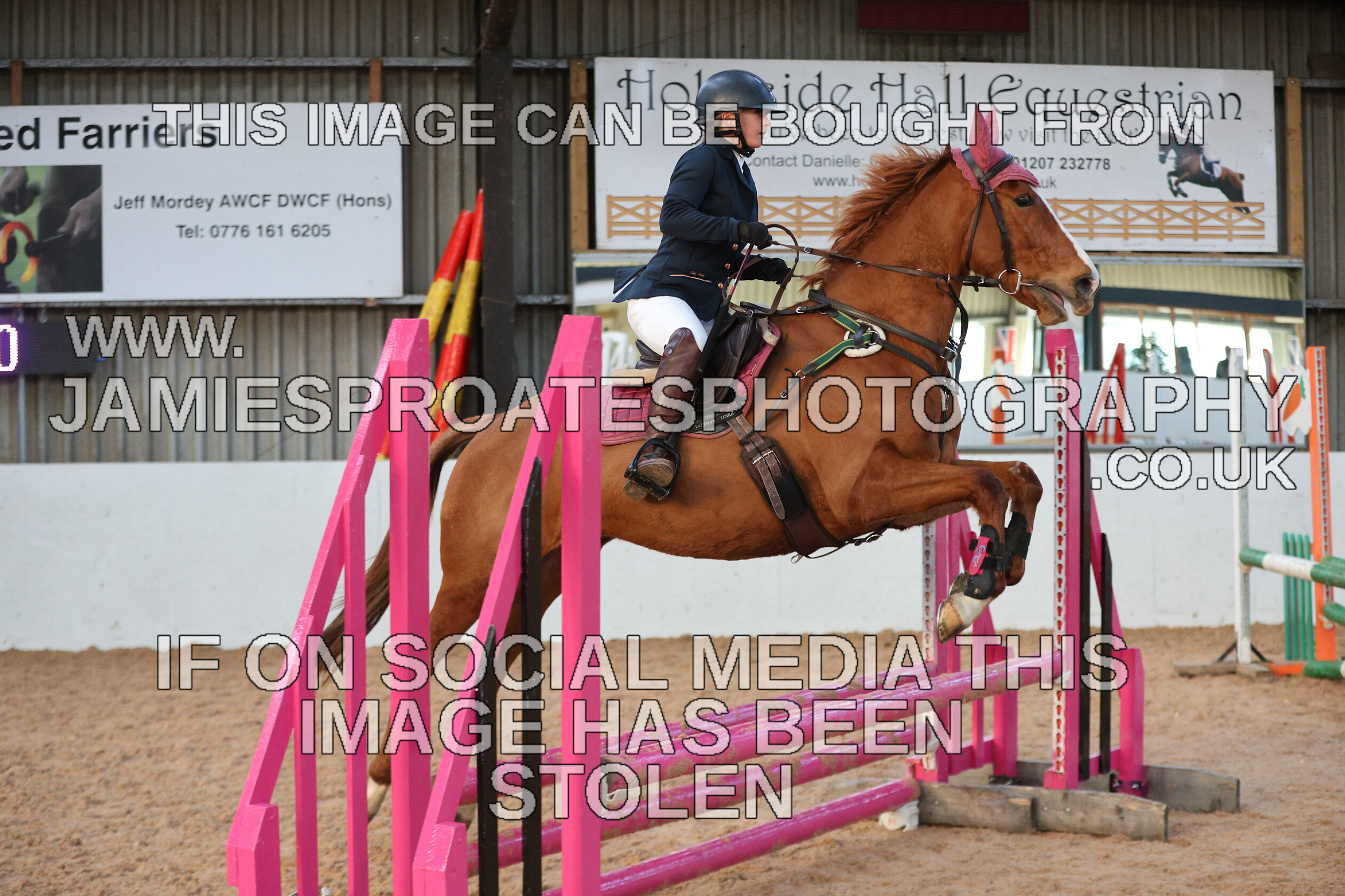 0002 3975 
 Keywords: "jamie sproates photography" showjumping" "holmside"