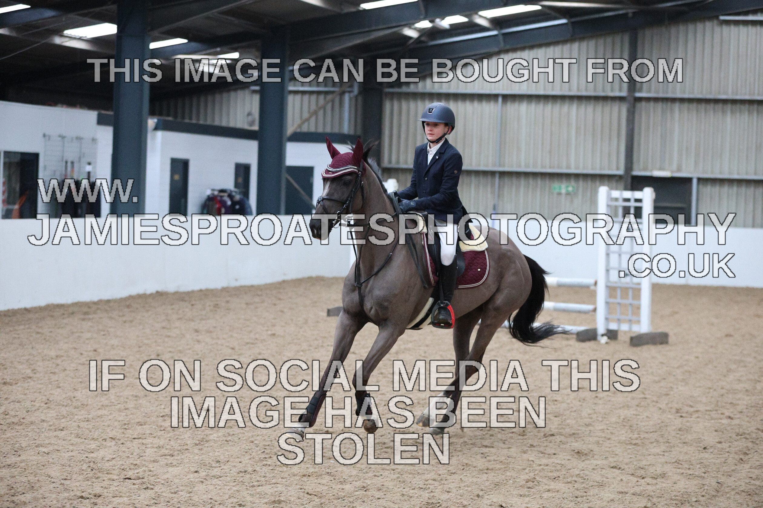 0002 6635 
 Keywords: "jamie sproates photography" showjumping" "holmside""bs"