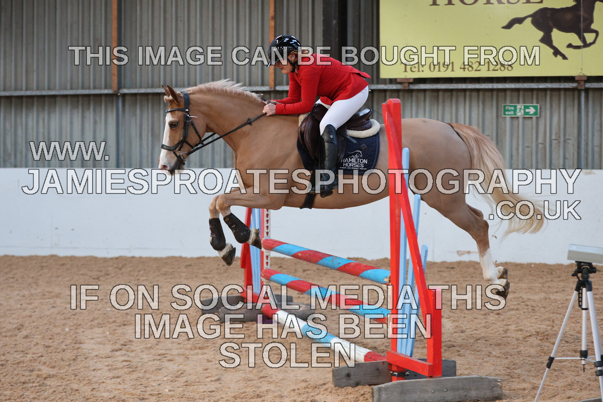 0002 3920 
 Keywords: "jamie sproates photography" showjumping" "holmside"