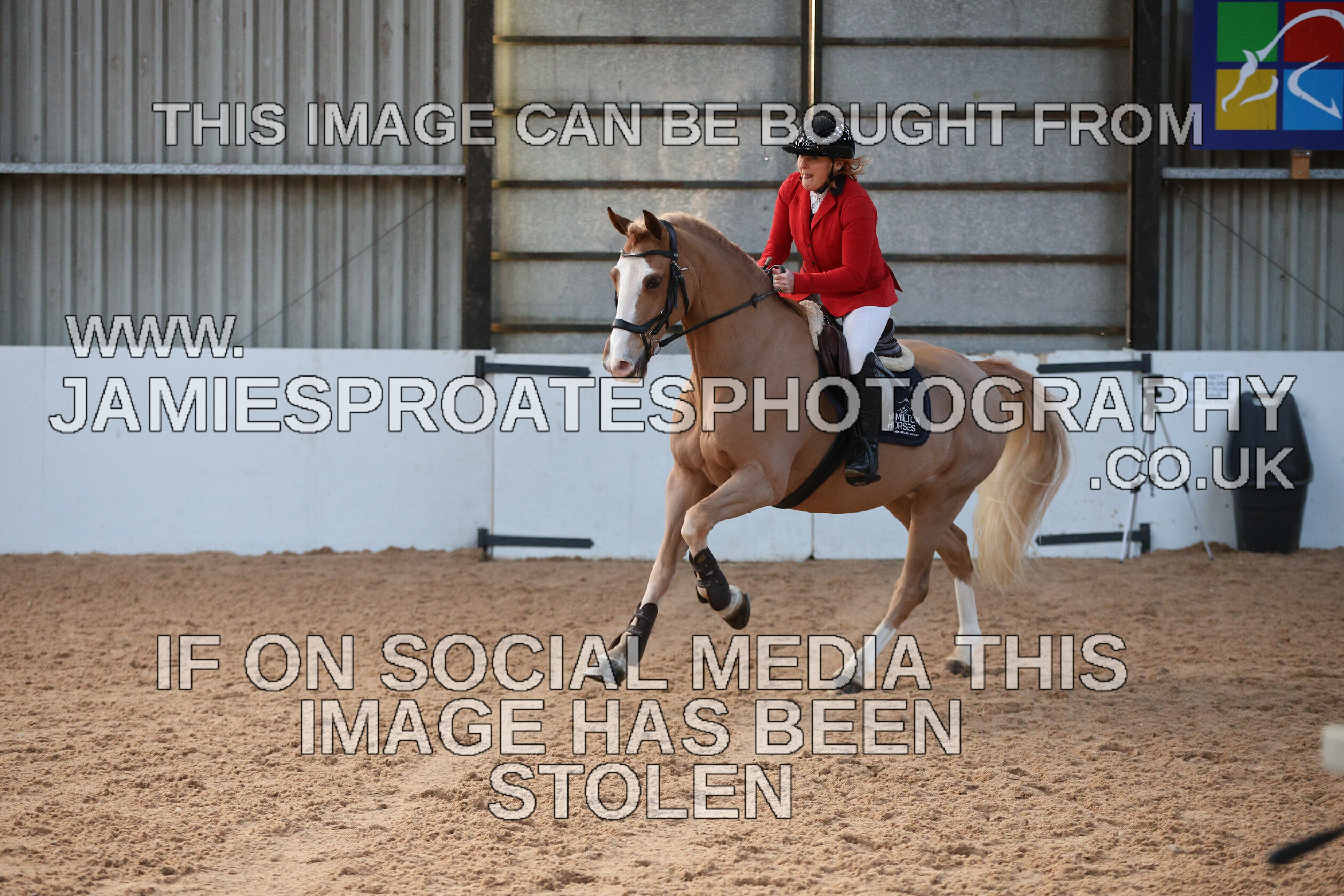 0002 3913 
 Keywords: "jamie sproates photography" showjumping" "holmside"