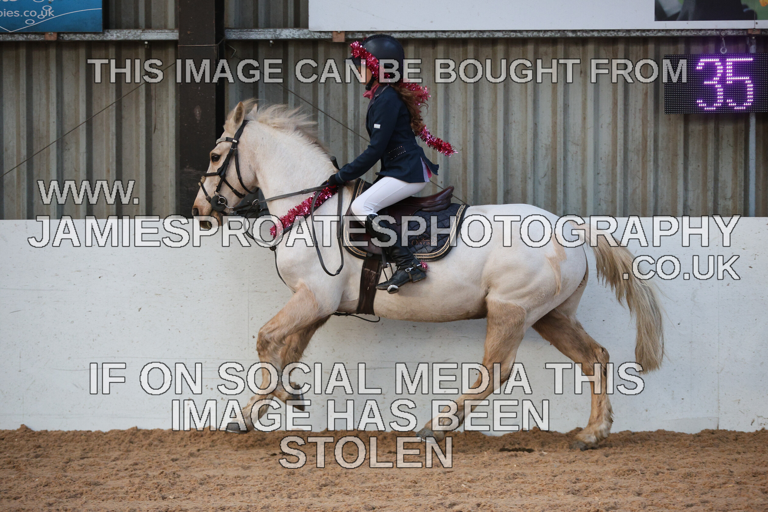 0002 3944 
 Keywords: "jamie sproates photography" showjumping" "holmside"