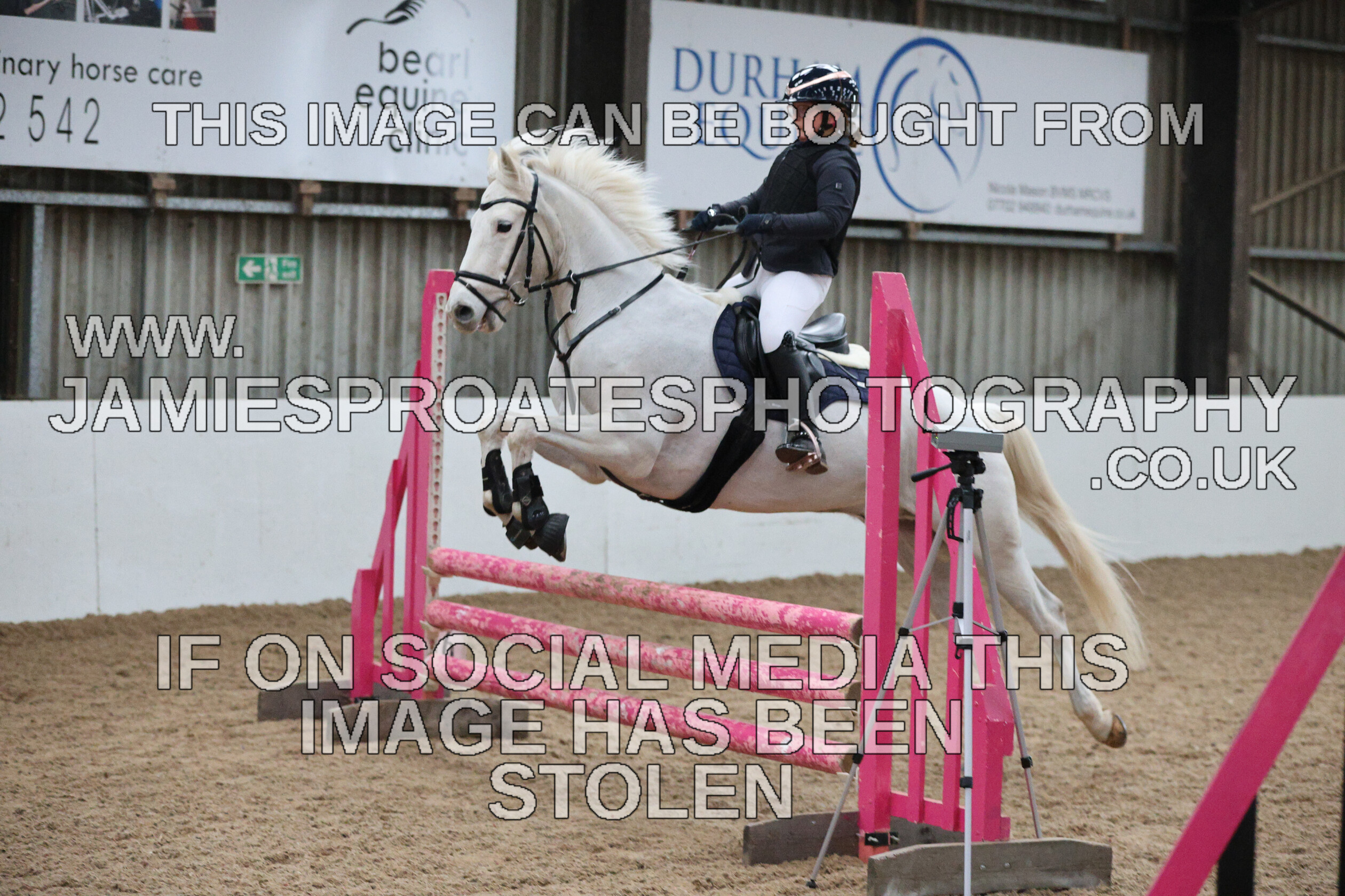 0002 6624 
 Keywords: "jamie sproates photography" showjumping" "holmside""bs"