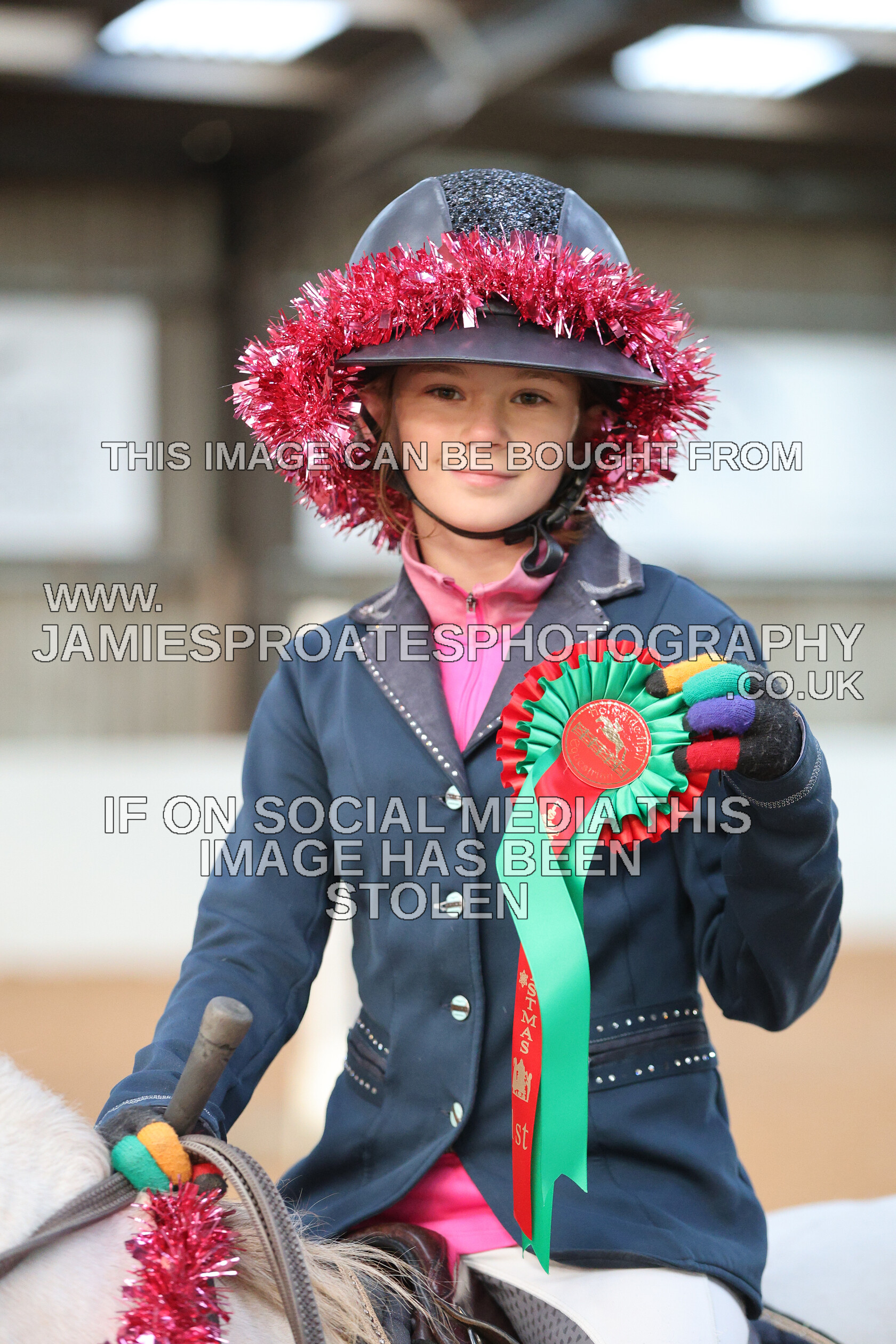 0002 3981 
 Keywords: "jamie sproates photography" showjumping" "holmside"