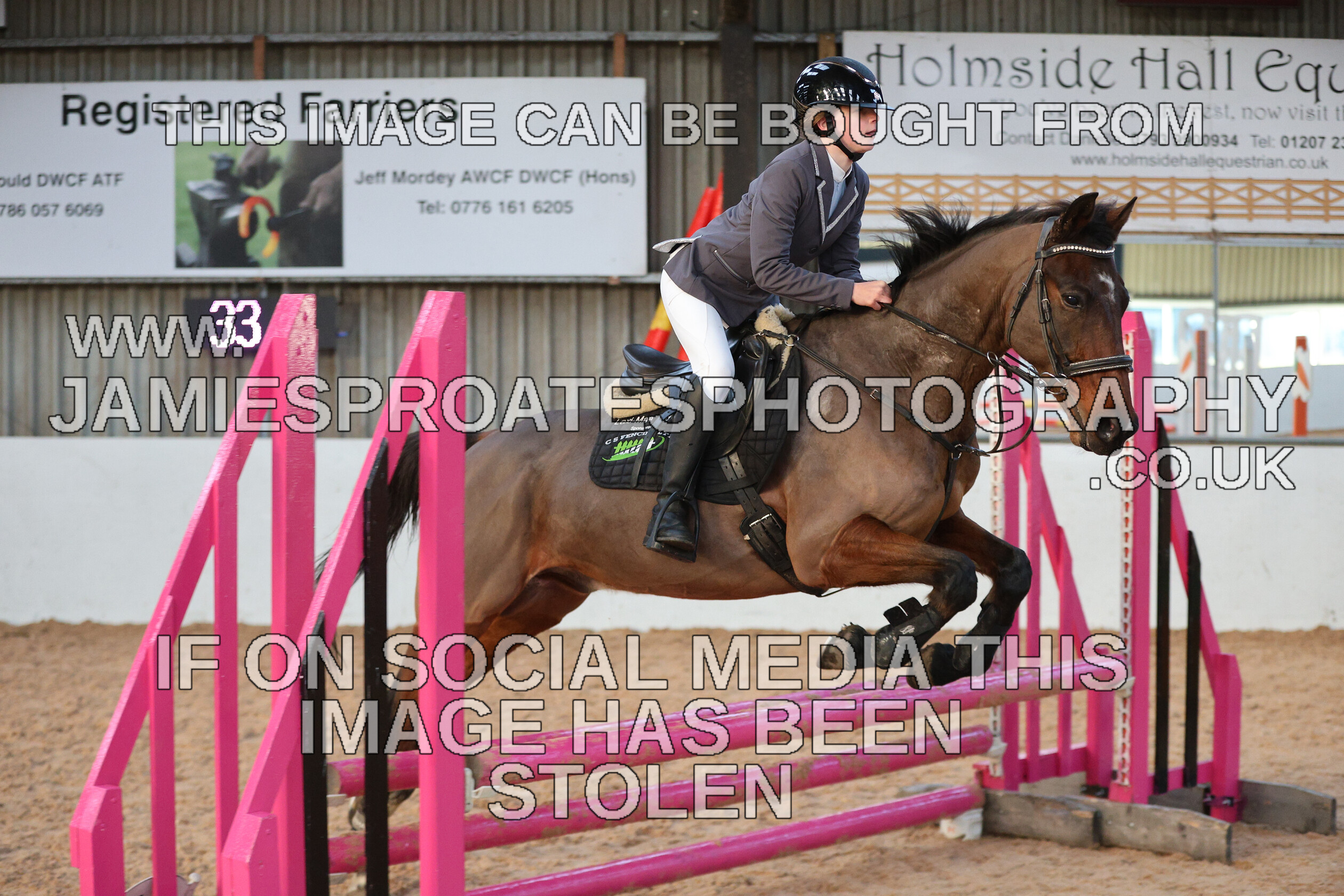 0002 3966 
 Keywords: "jamie sproates photography" showjumping" "holmside"