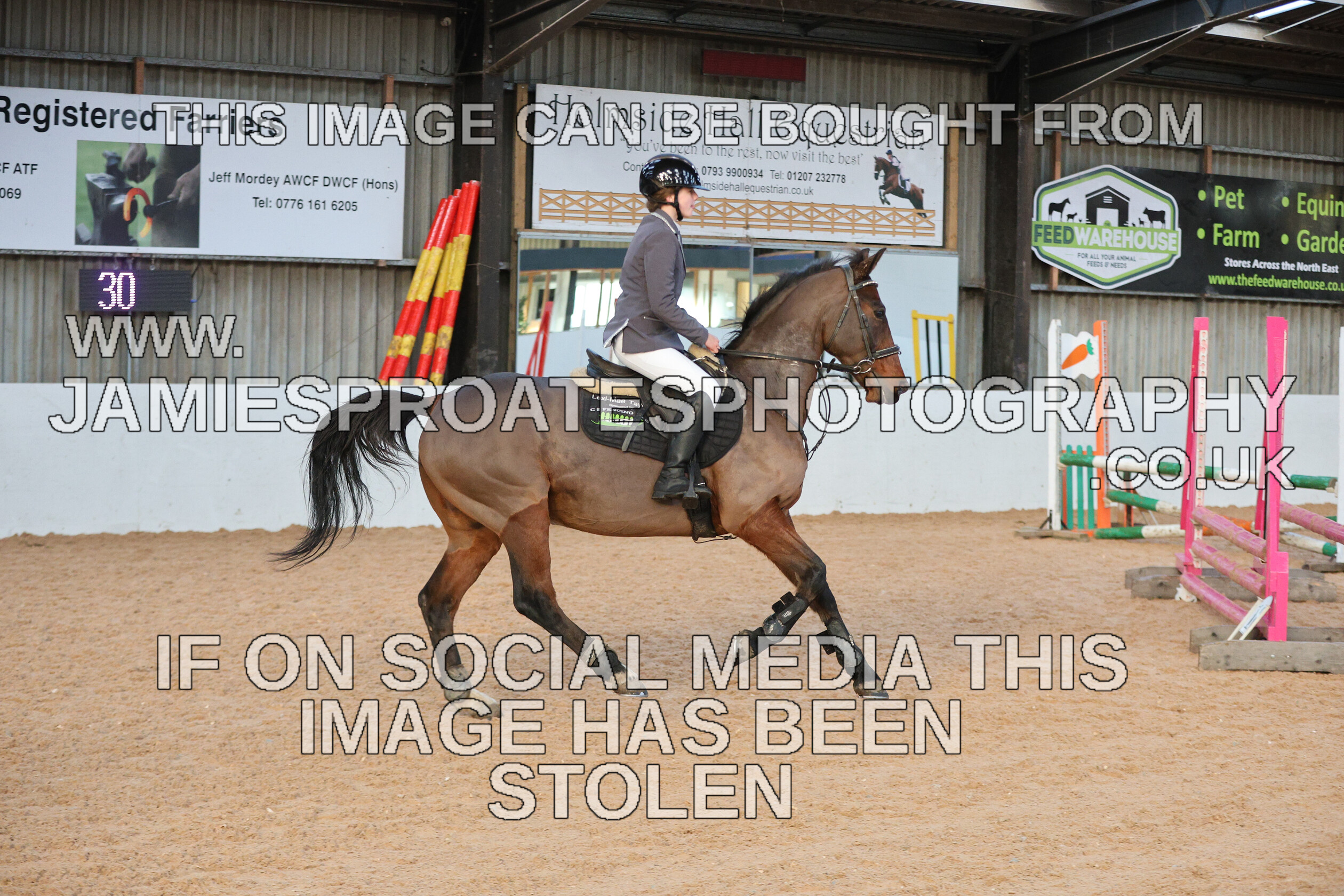 0002 3961 
 Keywords: "jamie sproates photography" showjumping" "holmside"