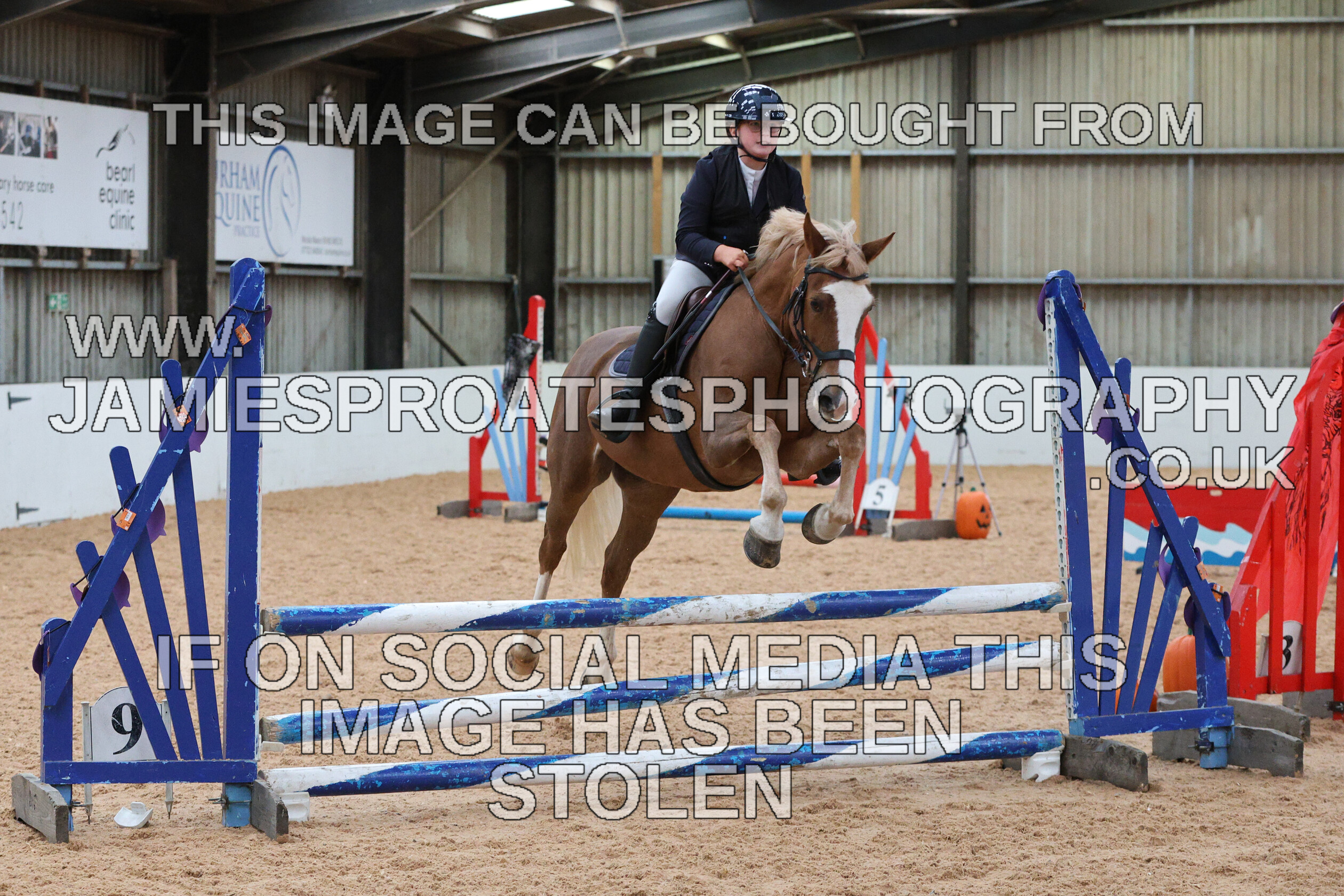 0005 0204 
 Keywords: "jamie sproates photography" showjumping" "holmside"