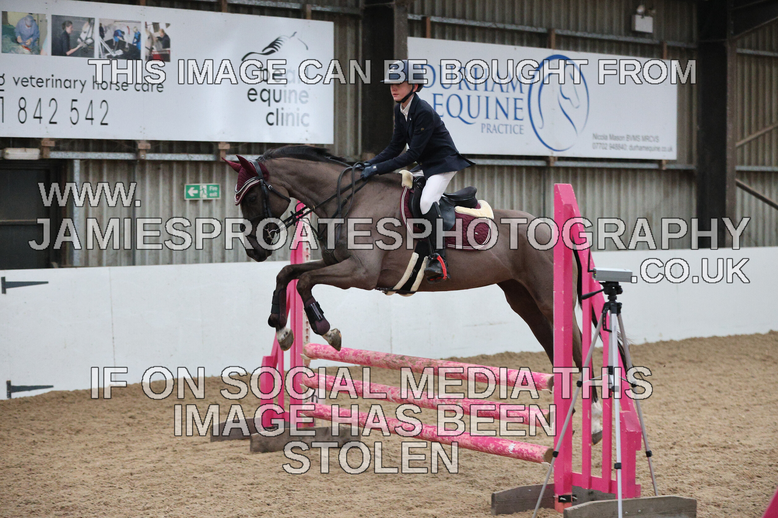 0002 6640 
 Keywords: "jamie sproates photography" showjumping" "holmside""bs"