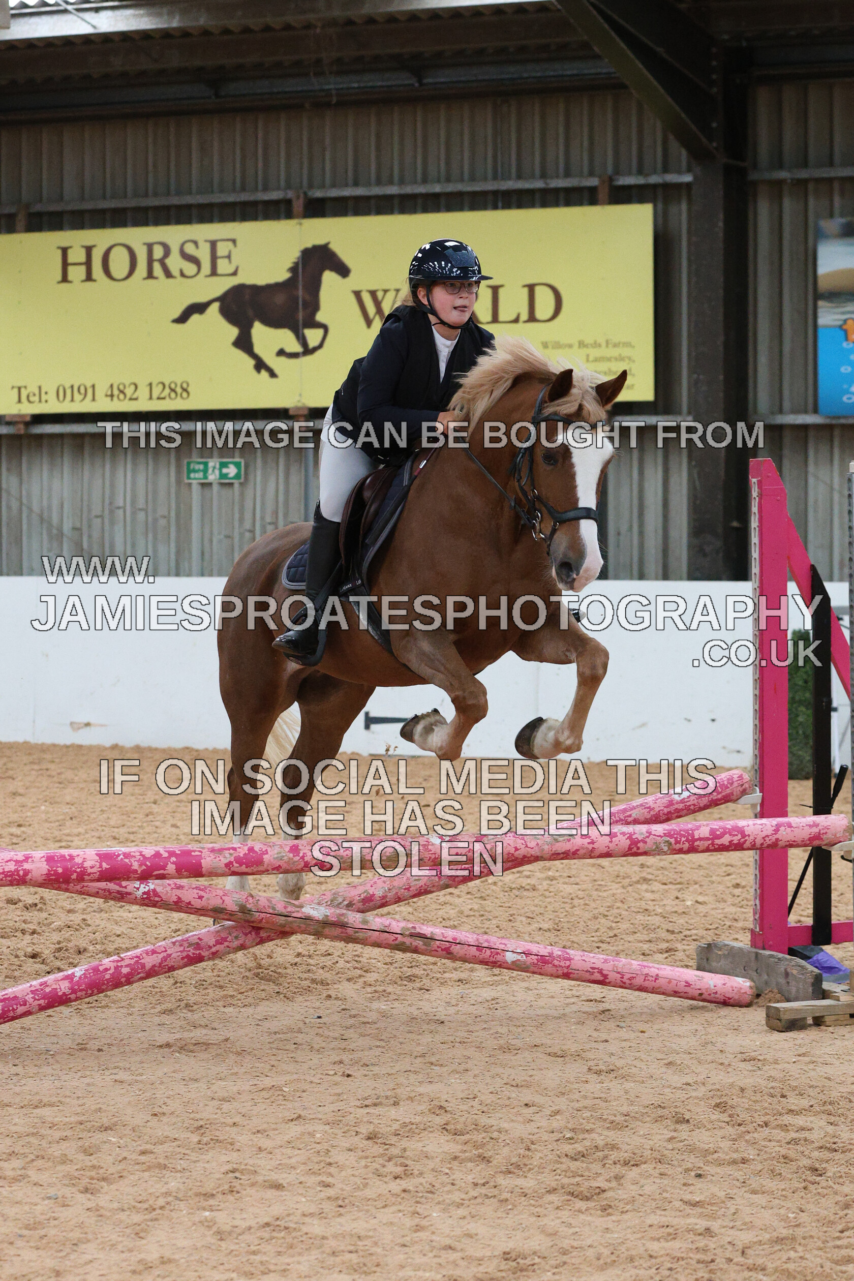 0005 0196 
 Keywords: "jamie sproates photography" showjumping" "holmside"