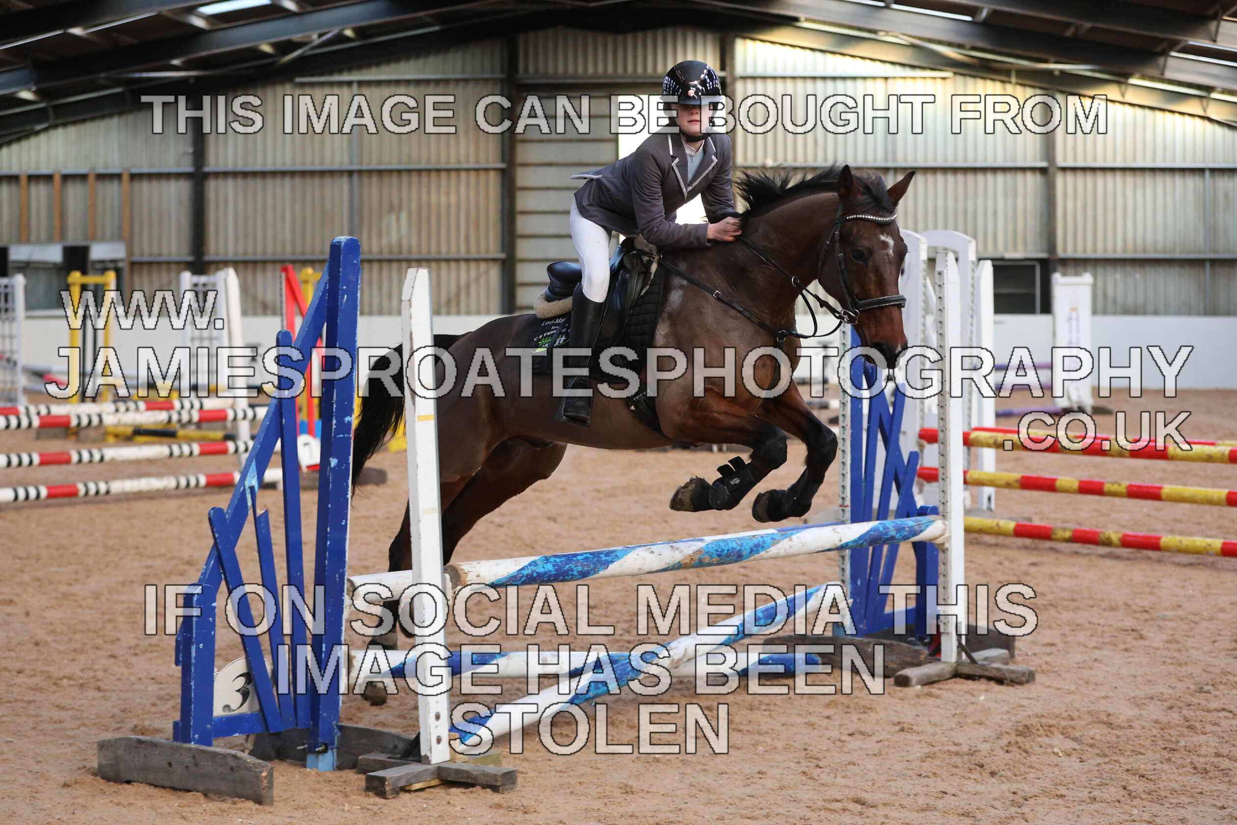 0002 3960 
 Keywords: "jamie sproates photography" showjumping" "holmside"