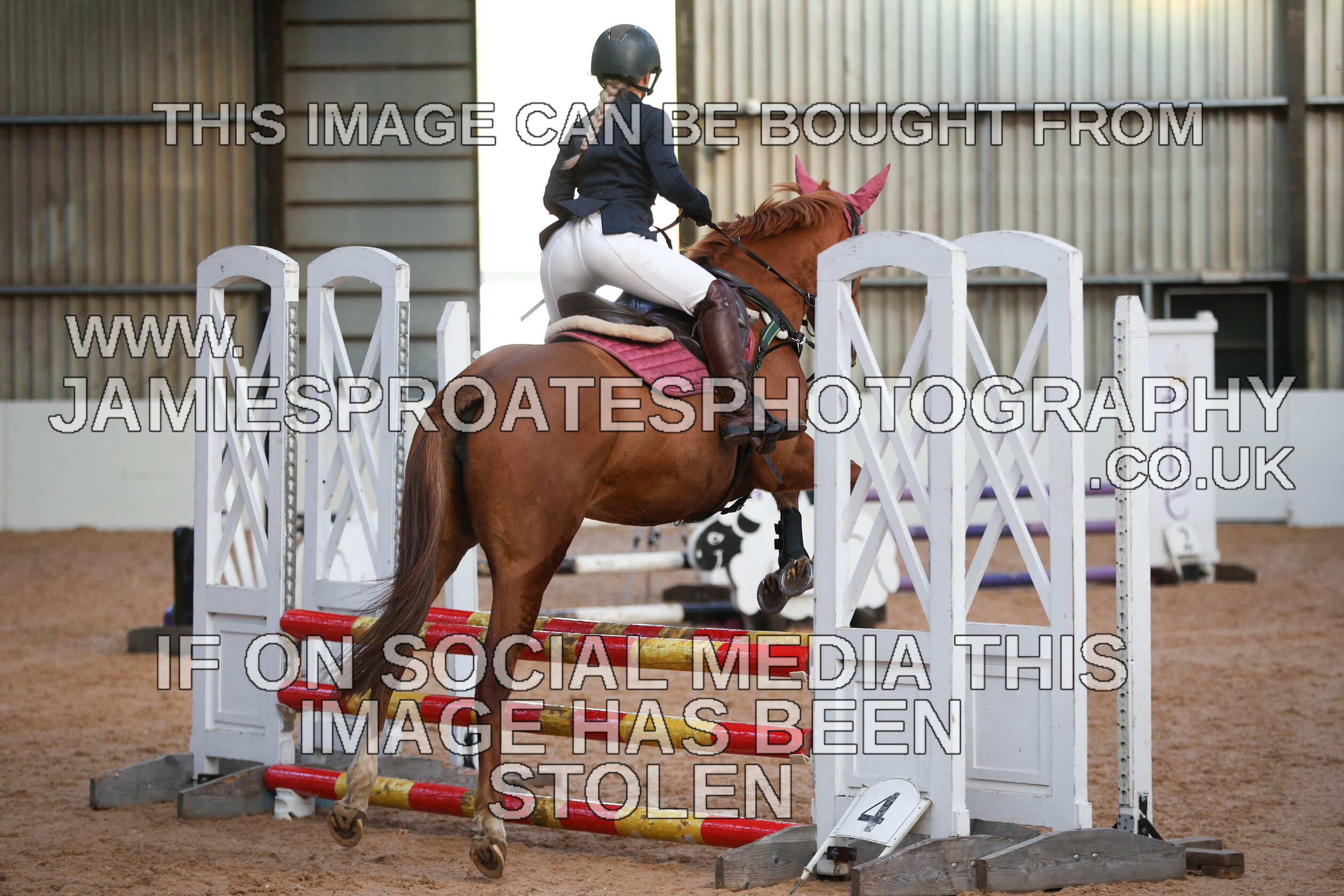 0002 3971 
 Keywords: "jamie sproates photography" showjumping" "holmside"