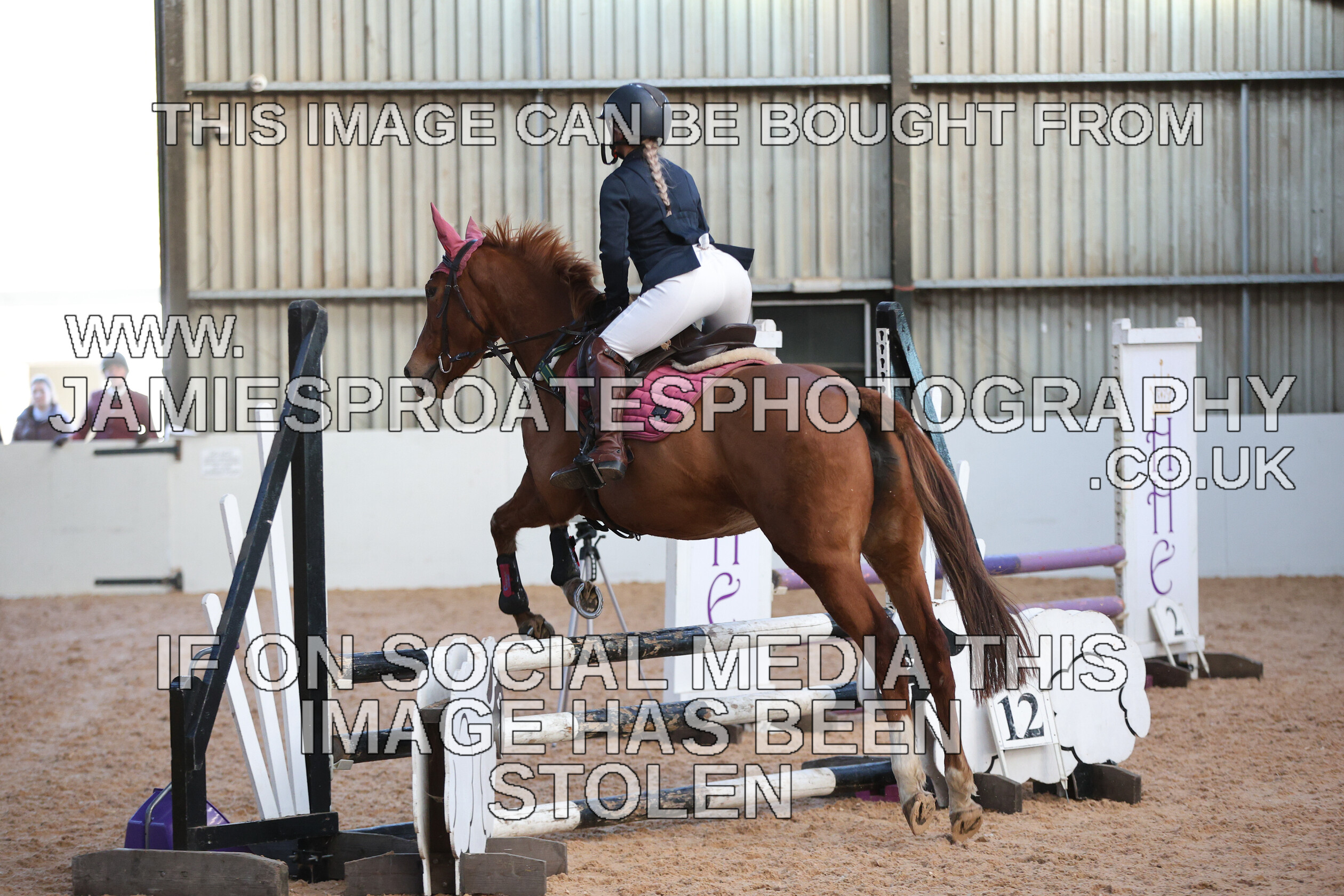 0002 3979 
 Keywords: "jamie sproates photography" showjumping" "holmside"