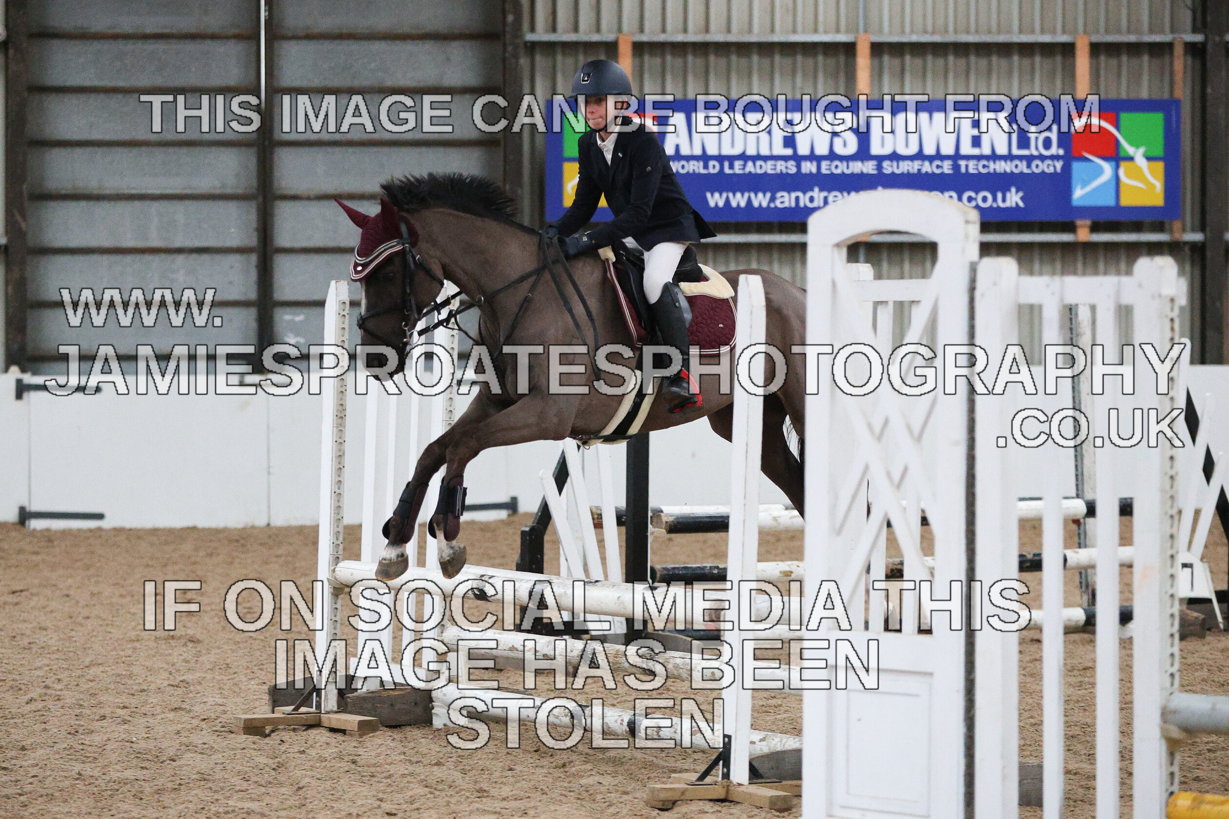 0002 6633 
 Keywords: "jamie sproates photography" showjumping" "holmside""bs"