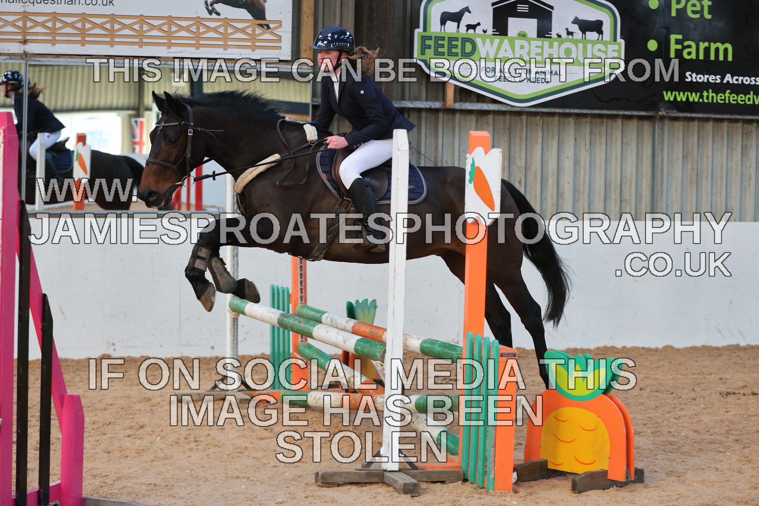 0002 3940 
 Keywords: "jamie sproates photography" showjumping" "holmside"