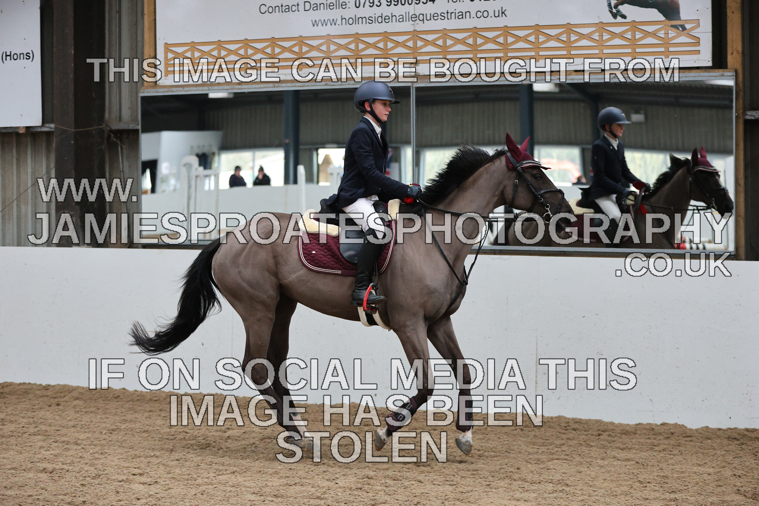 0002 6676 
 Keywords: "jamie sproates photography" showjumping" "holmside""bs"