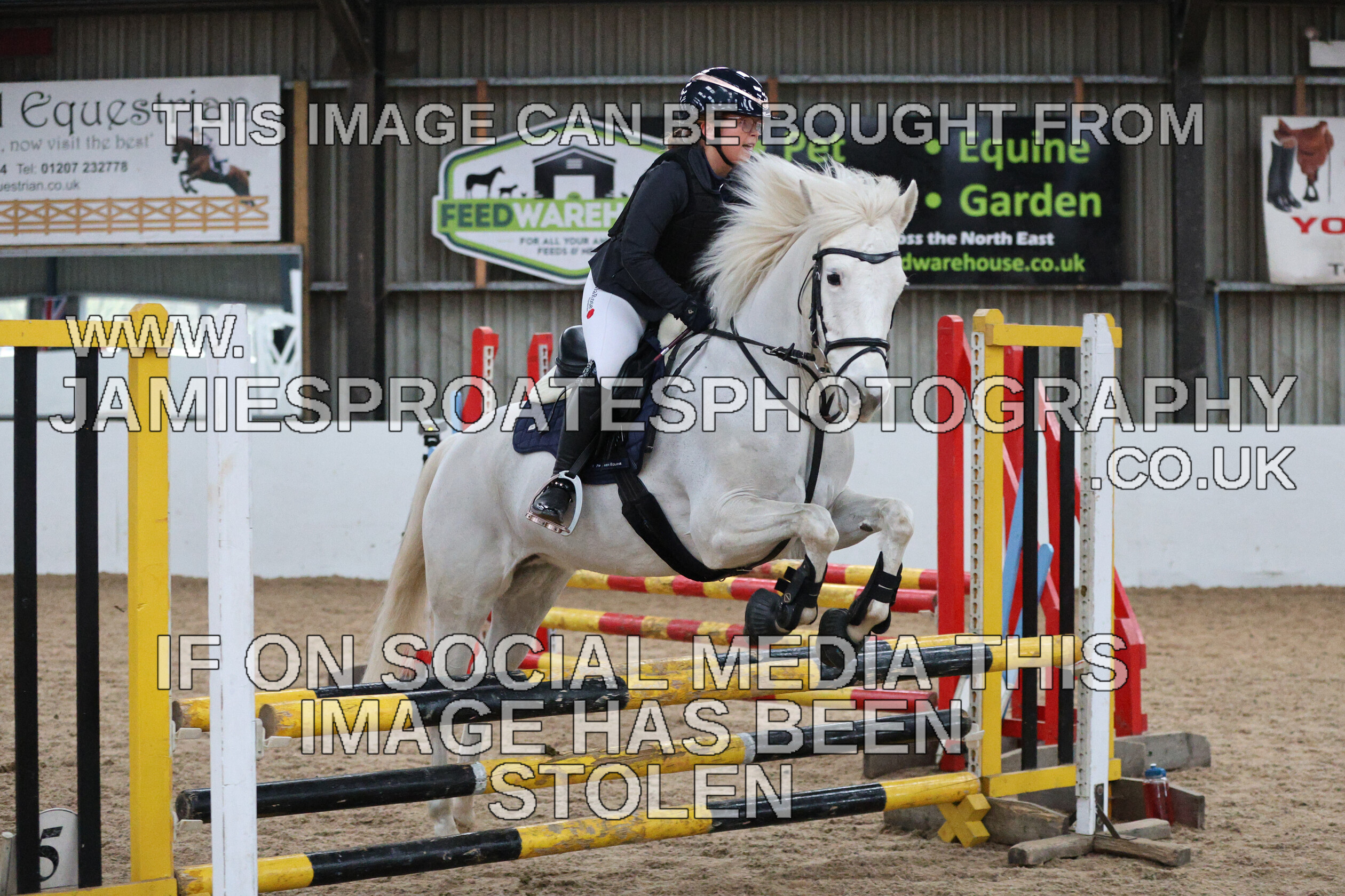 0002 6623 
 Keywords: "jamie sproates photography" showjumping" "holmside""bs"