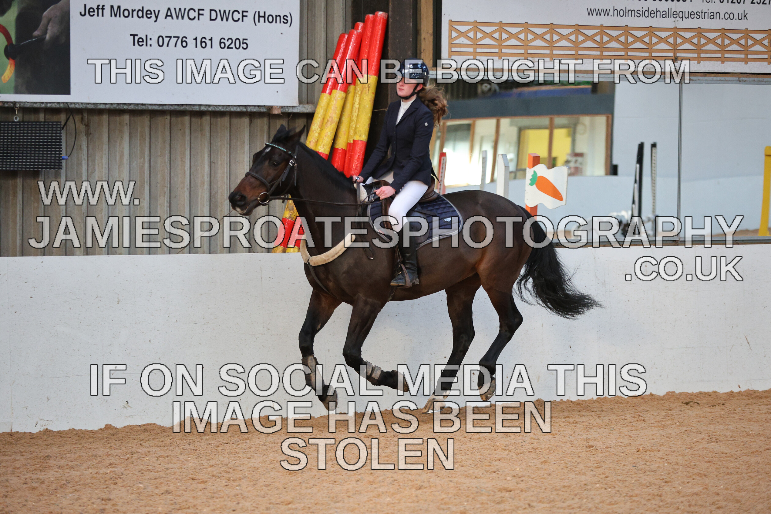 0002 3935 
 Keywords: "jamie sproates photography" showjumping" "holmside"