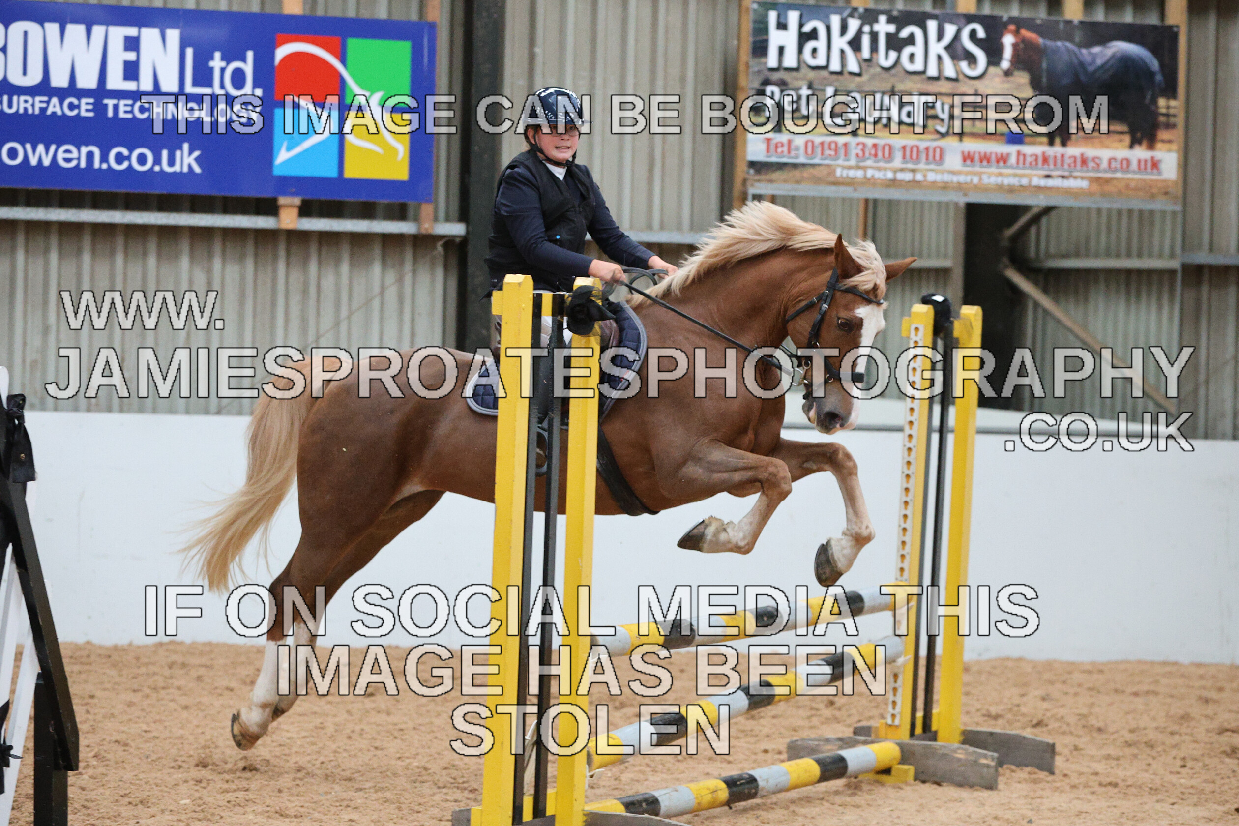 0005 0206 
 Keywords: "jamie sproates photography" showjumping" "holmside"