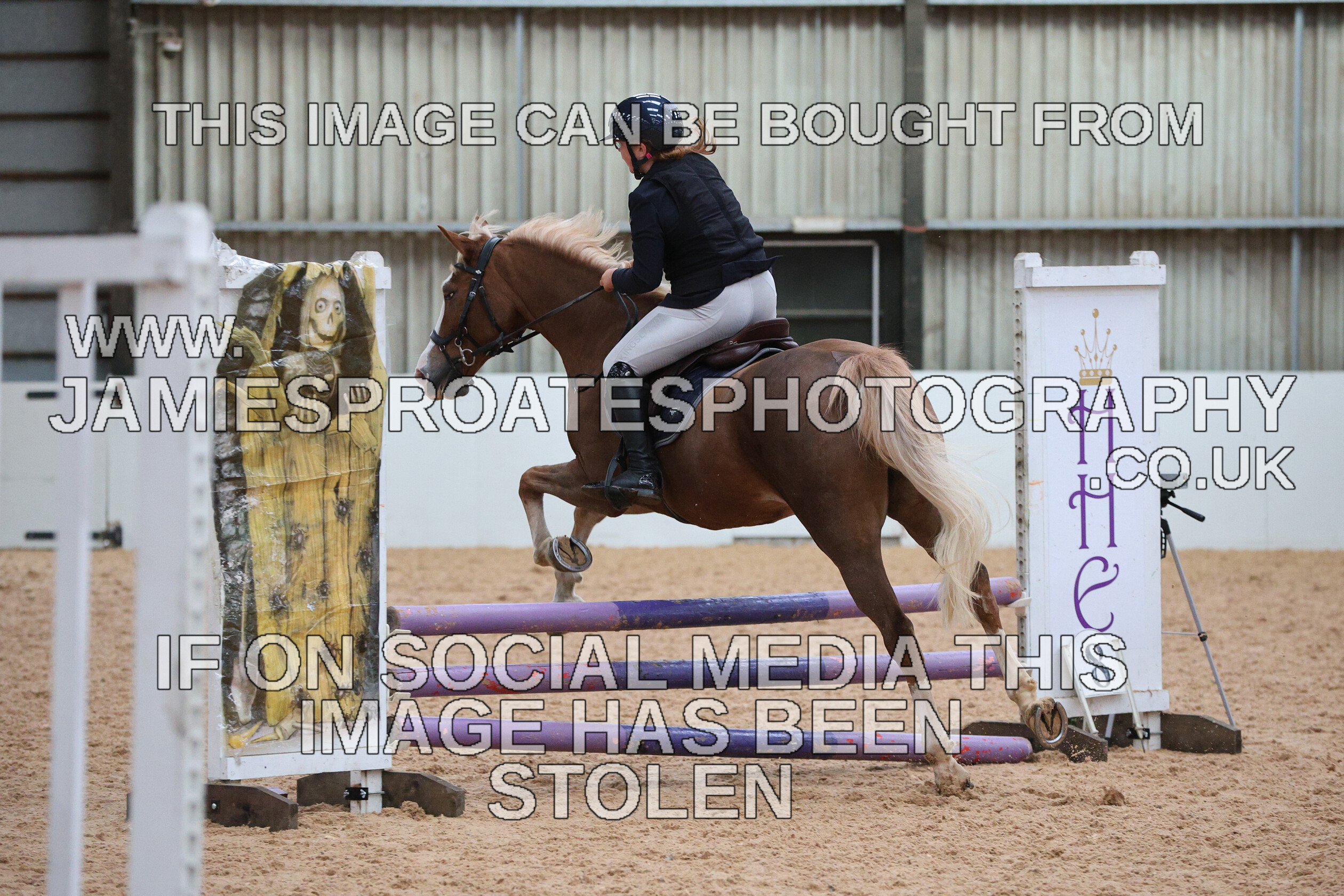 0005 0203 
 Keywords: "jamie sproates photography" showjumping" "holmside"