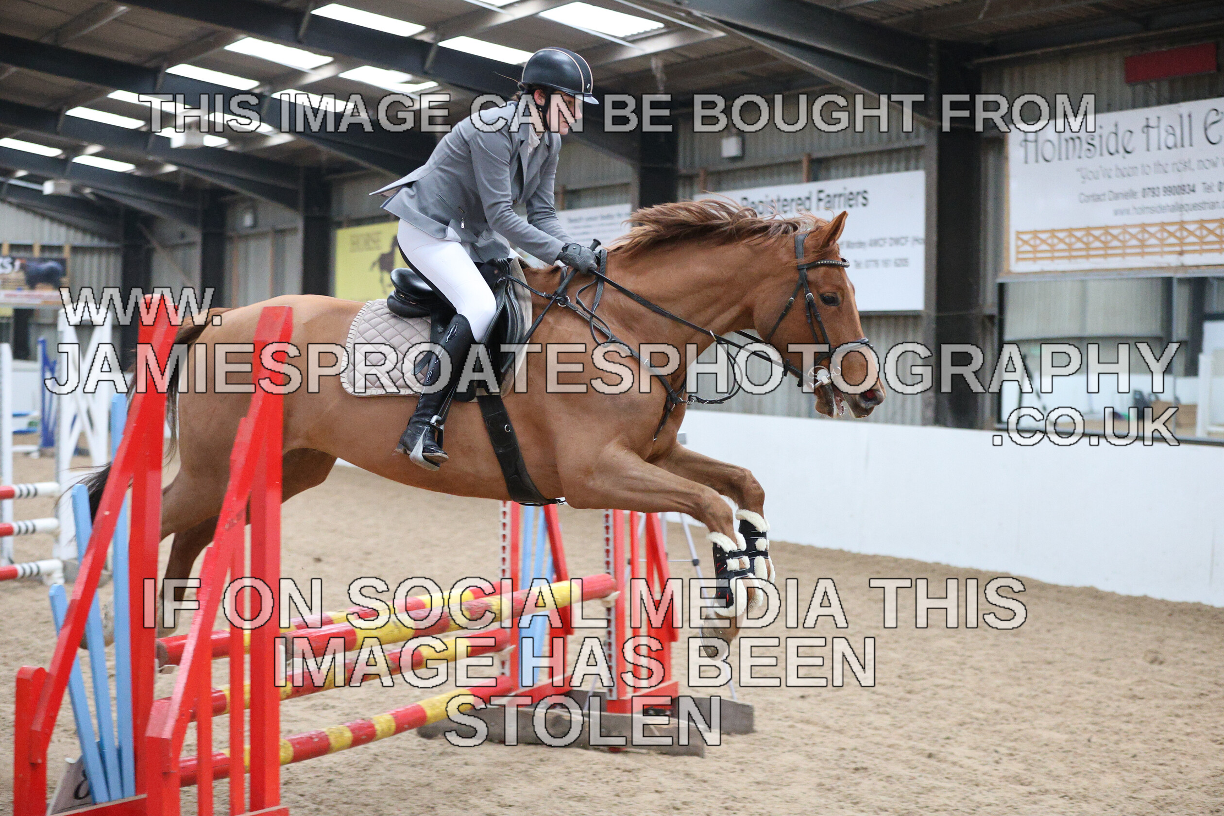 0002 6589 
 Keywords: "jamie sproates photography" showjumping" "holmside""bs"