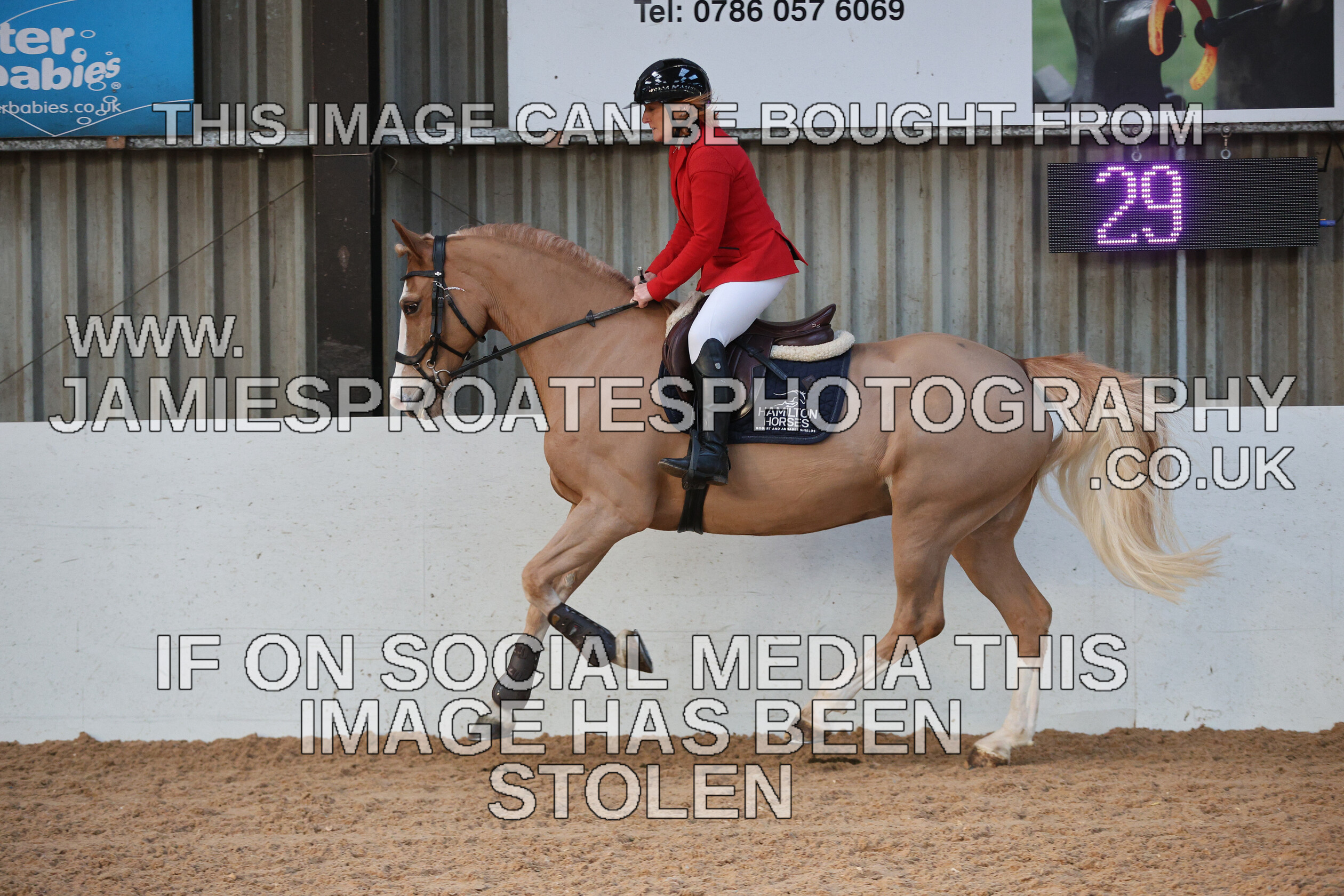 0002 3912 
 Keywords: "jamie sproates photography" showjumping" "holmside"