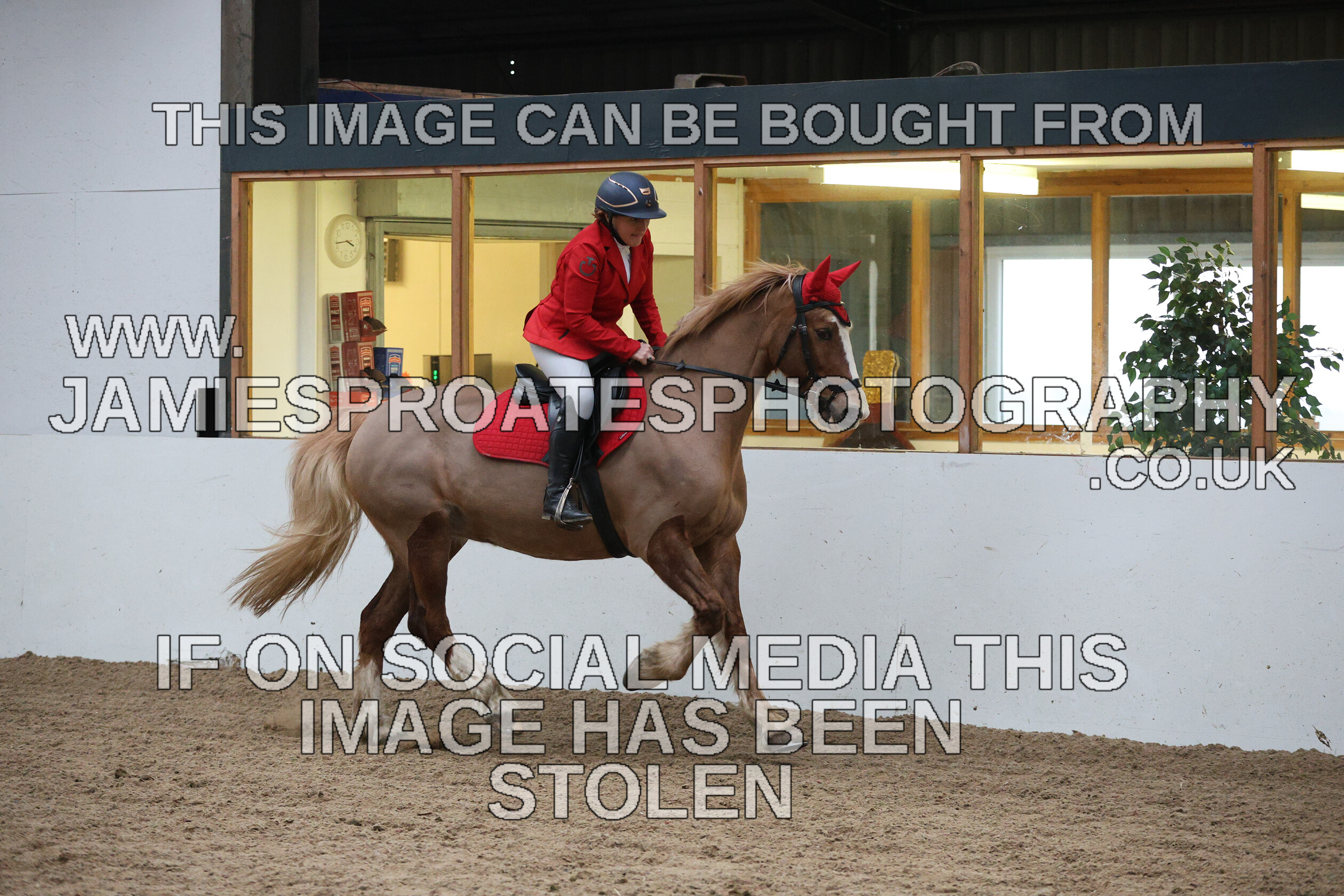 0002 6598 
 Keywords: "jamie sproates photography" showjumping" "holmside""bs"