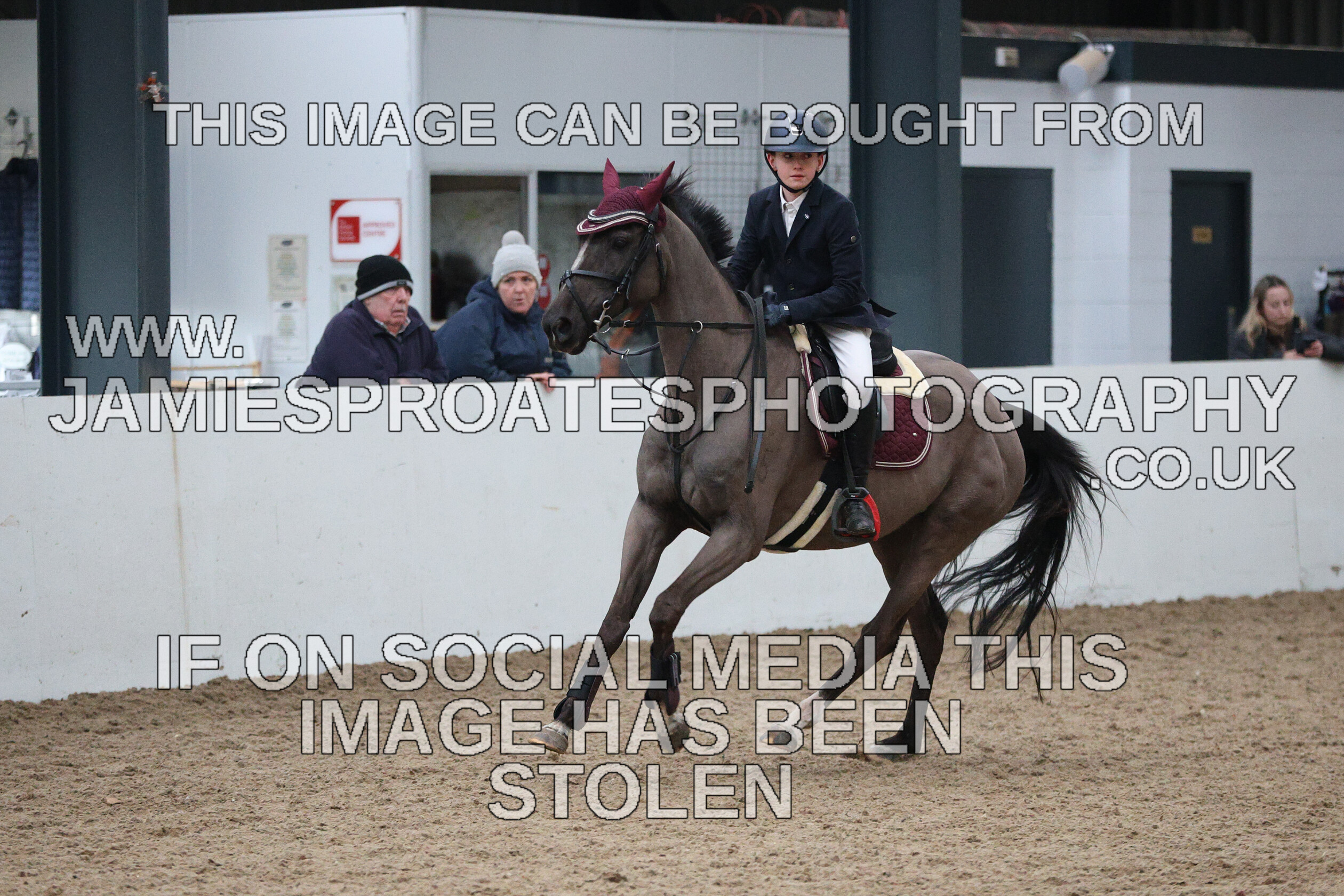 0002 6644 
 Keywords: "jamie sproates photography" showjumping" "holmside""bs"