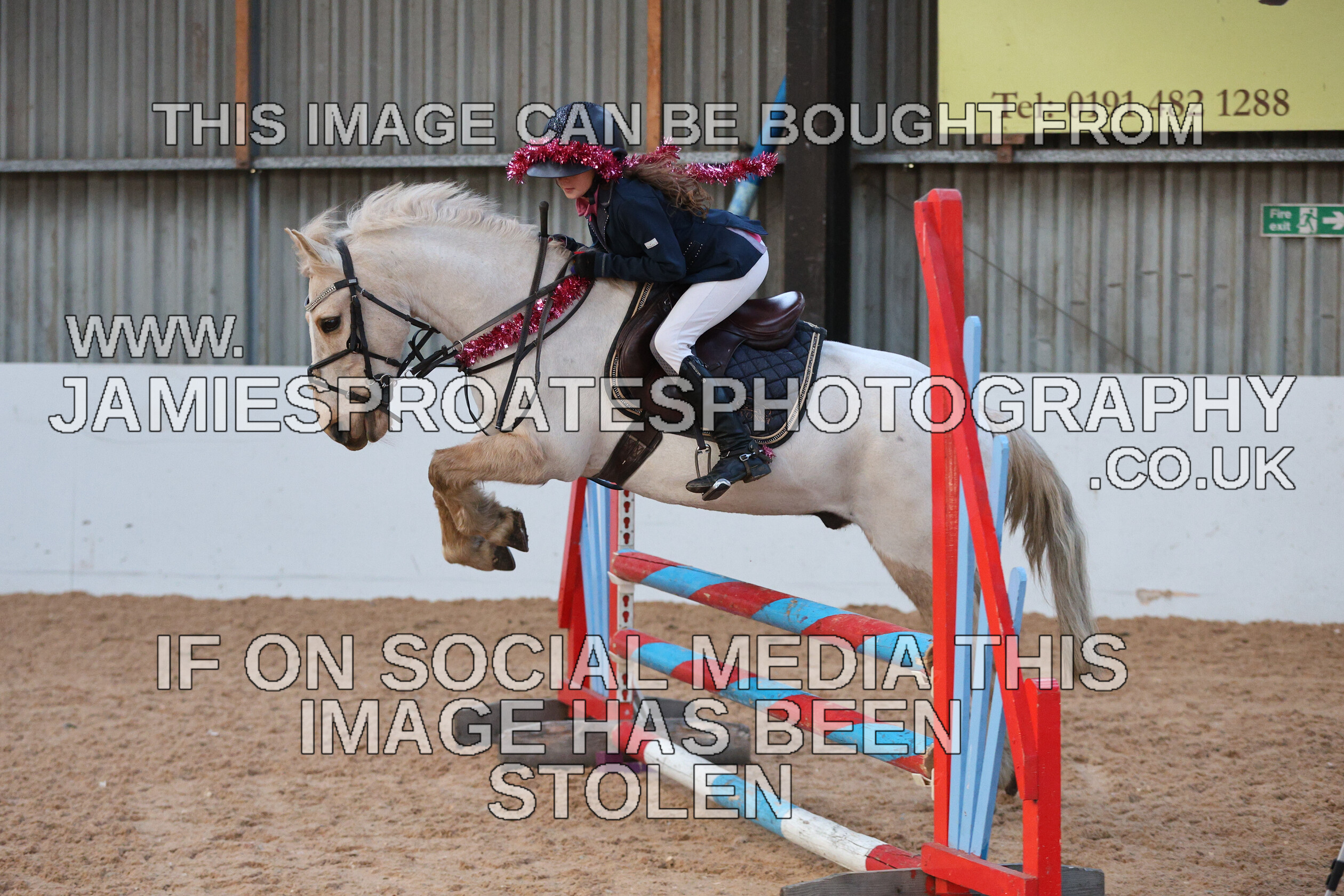 0002 3952 
 Keywords: "jamie sproates photography" showjumping" "holmside"