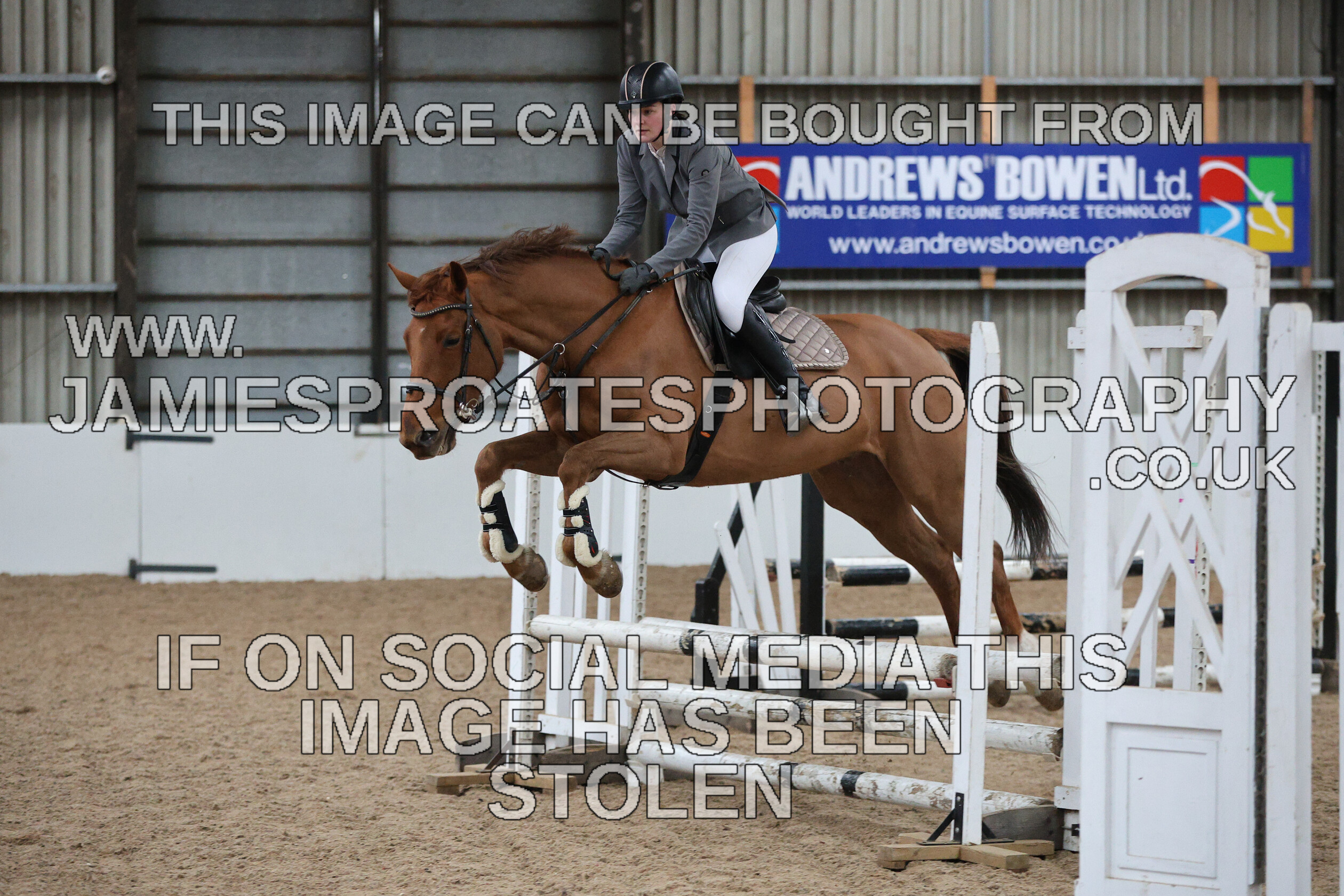 0002 6584 
 Keywords: "jamie sproates photography" showjumping" "holmside""bs"