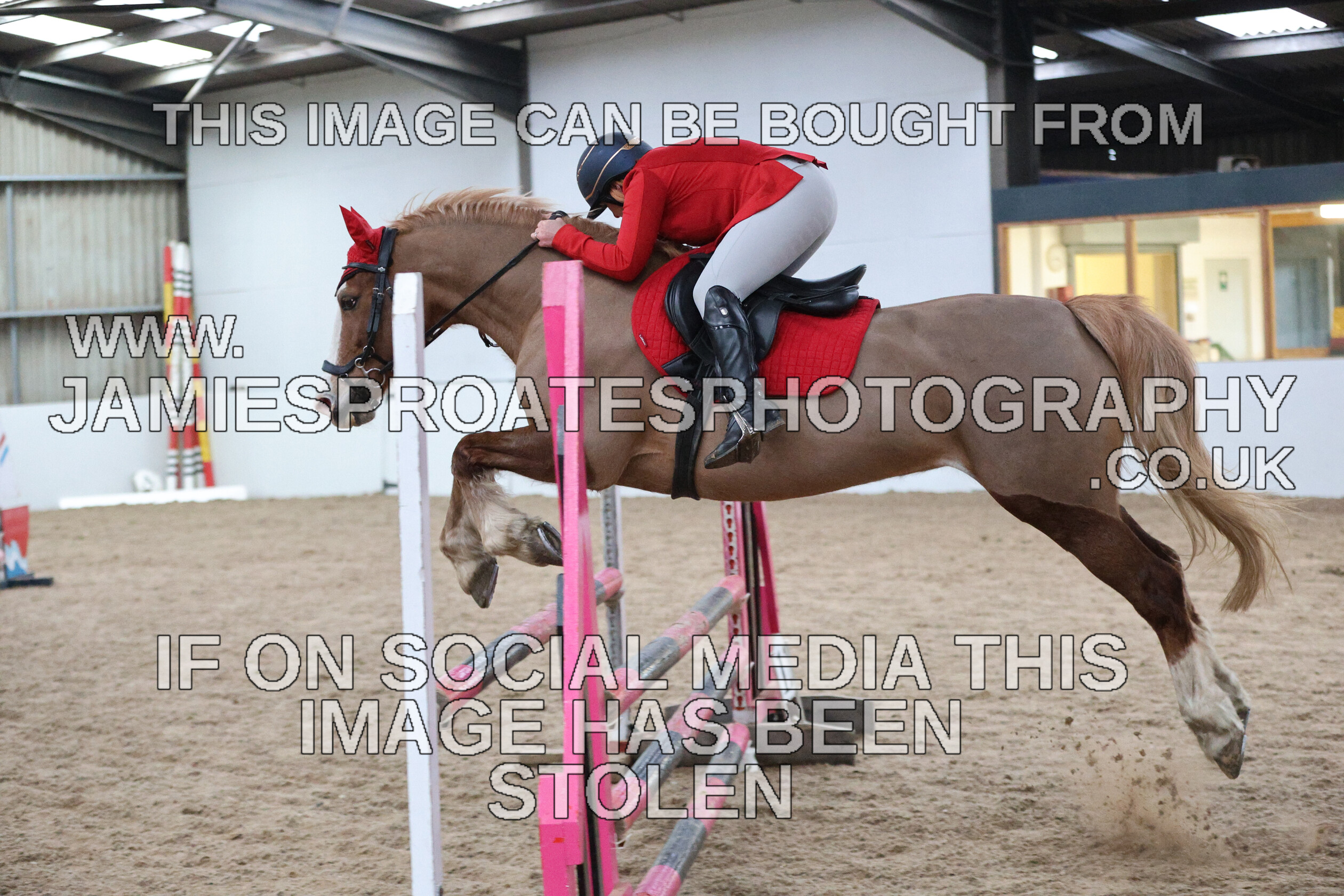 0002 6608 
 Keywords: "jamie sproates photography" showjumping" "holmside""bs"